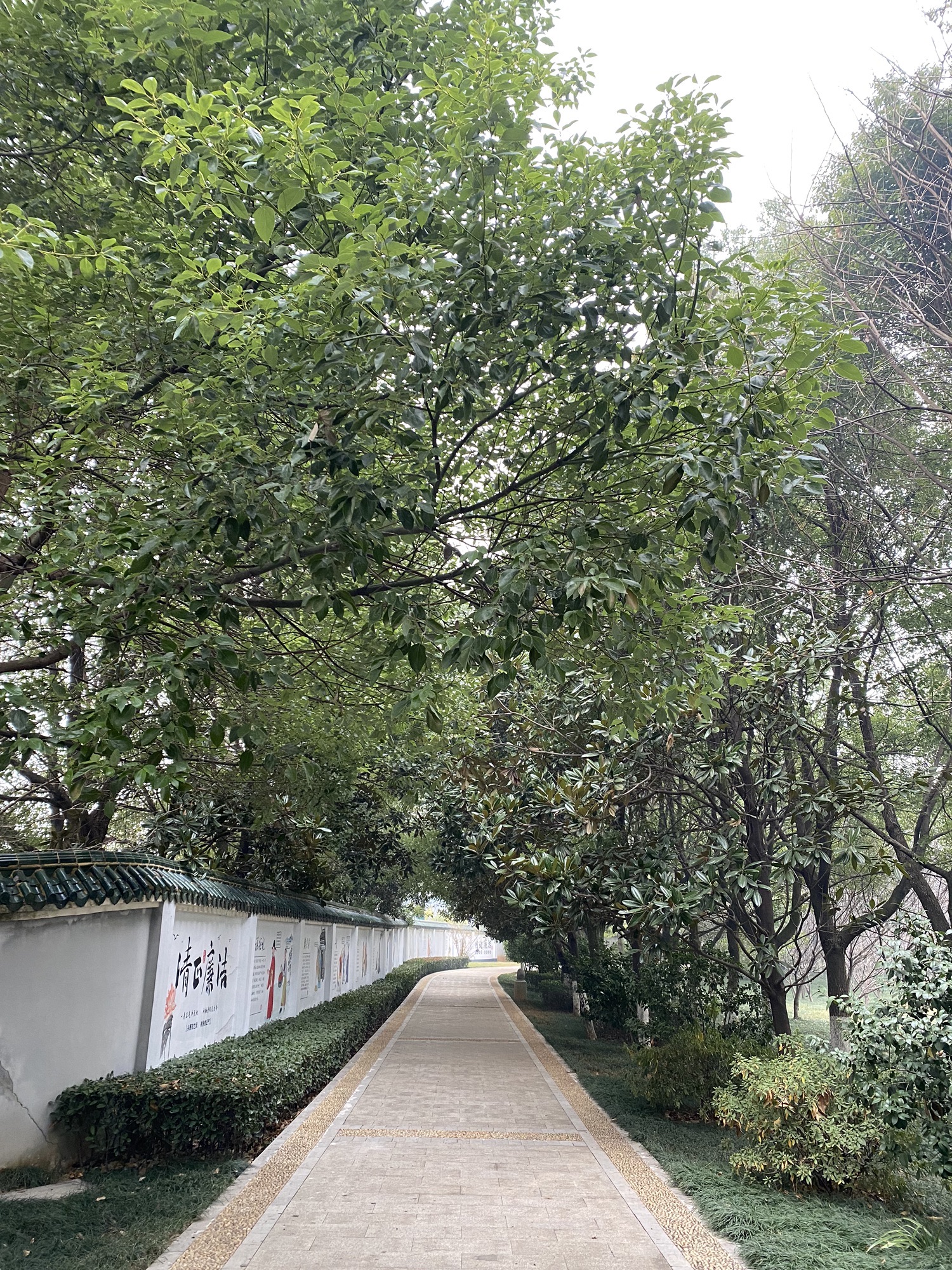 常德市孤峰公园旅行图片 3