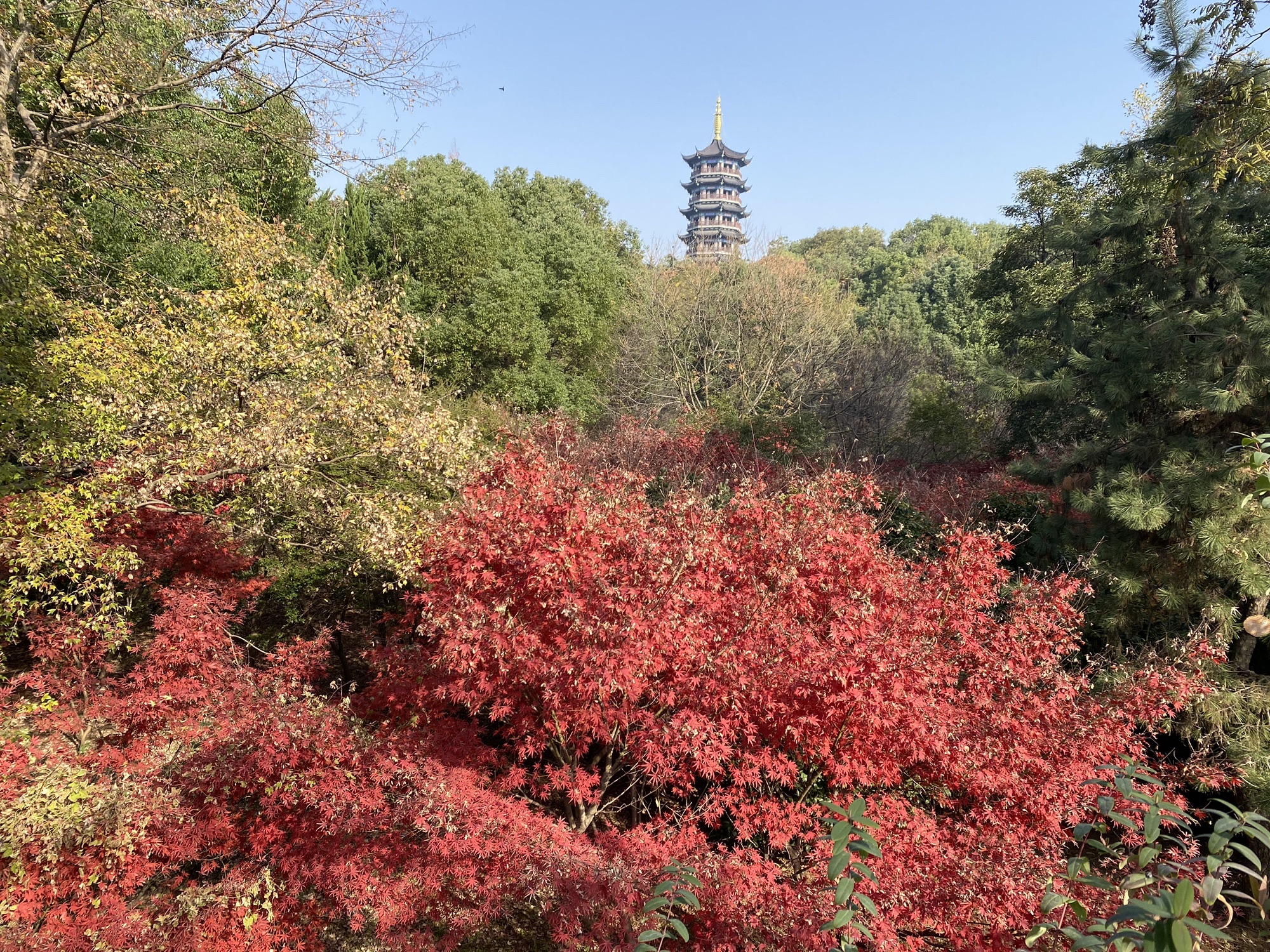 常德市孤峰公园