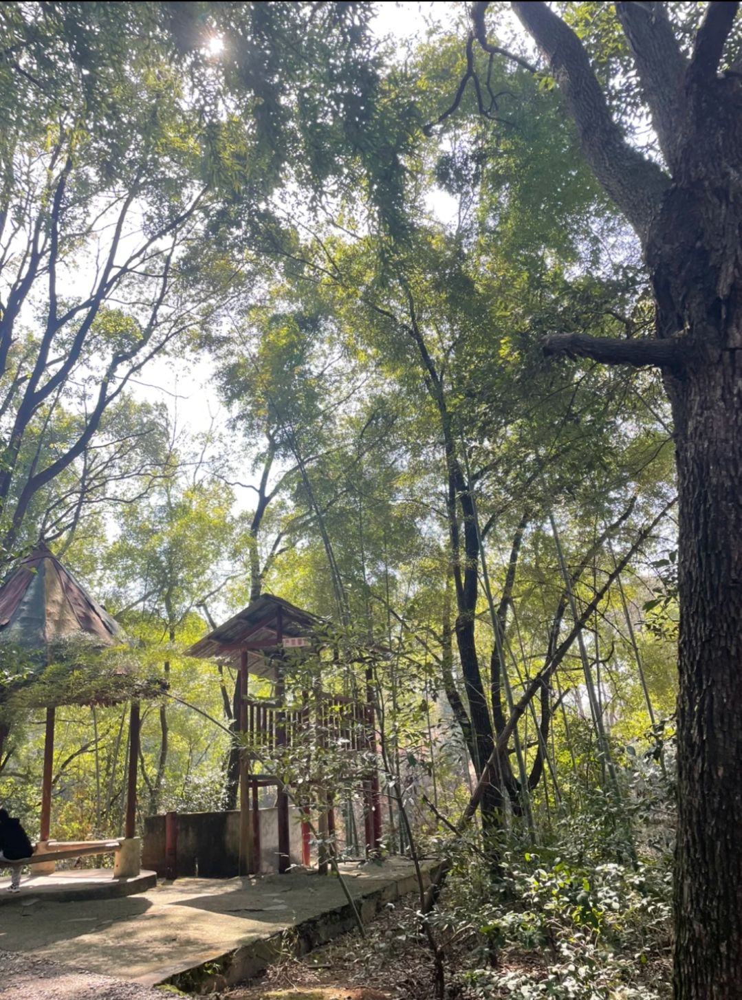 德山公园