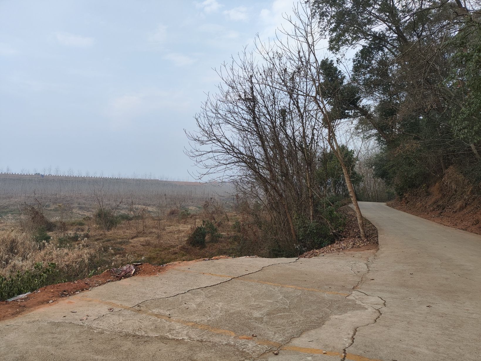 德山公园旅行图片 2