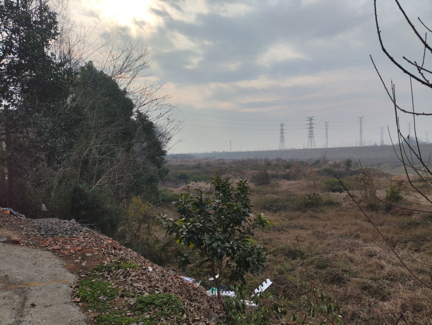 德山公园旅行图片 3