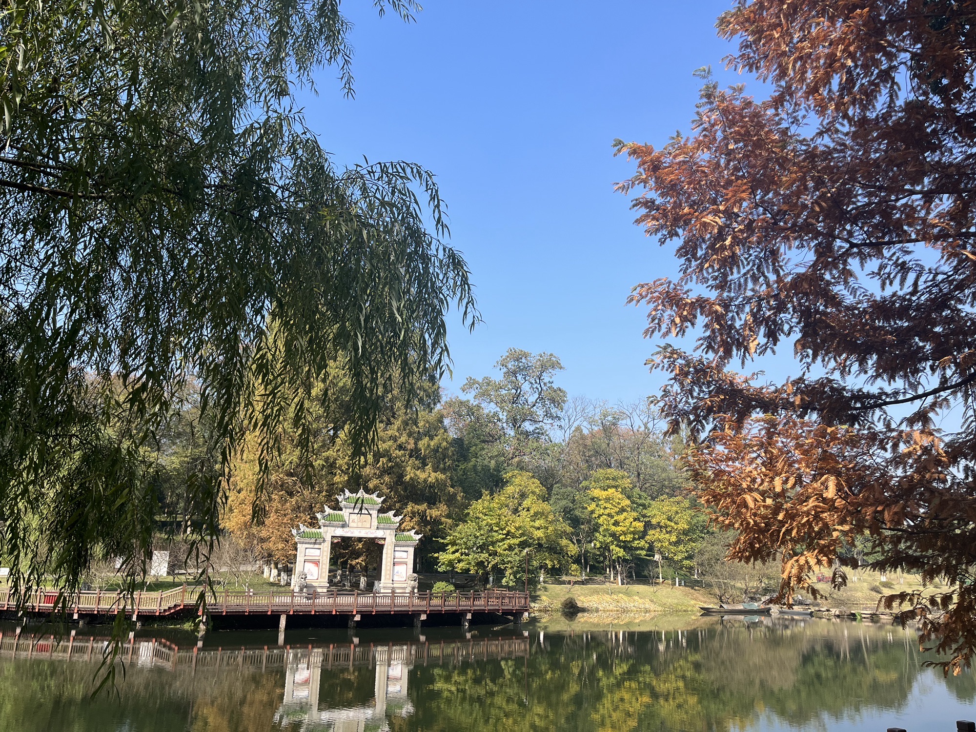 桃花源景区旅行图片 3
