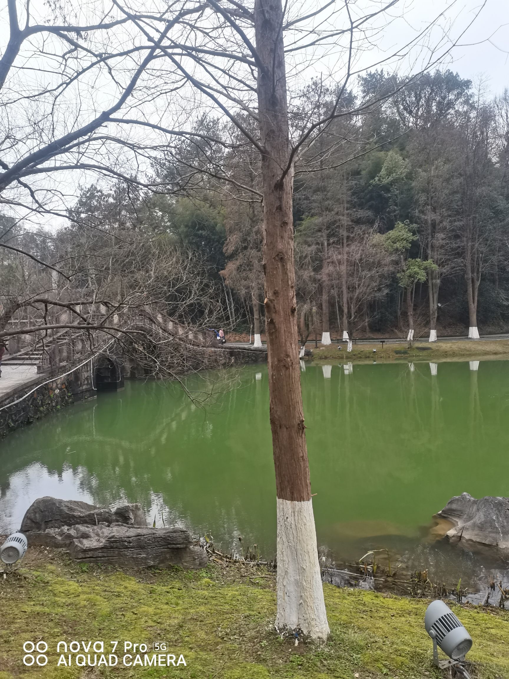桃花源景区旅行图片 3