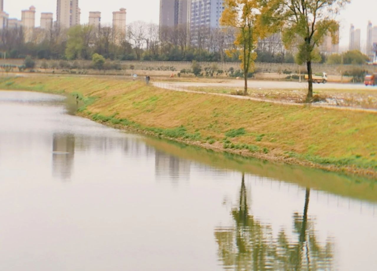 兰江公园旅行图片 2
