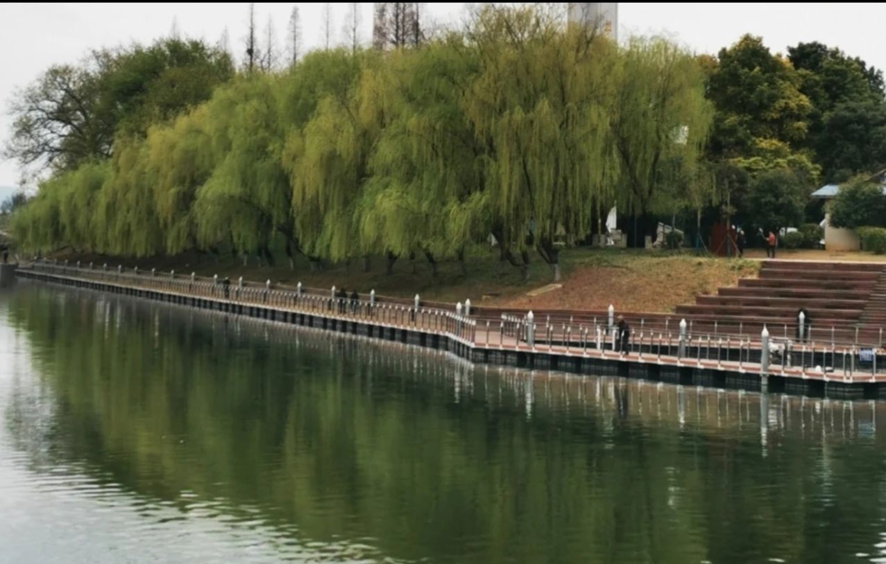 兰江公园旅行图片 1