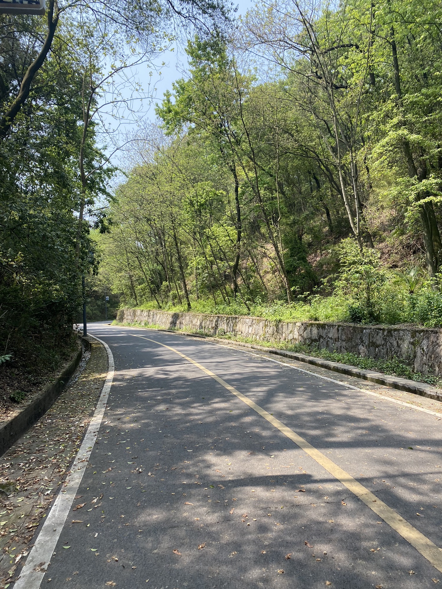 河洑国家森林公园旅行图片 2