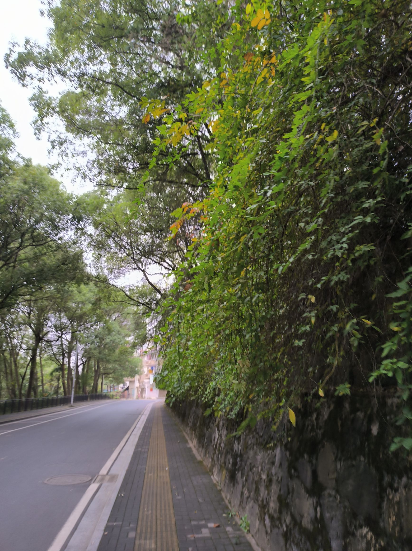 河洑国家森林公园旅行图片 1