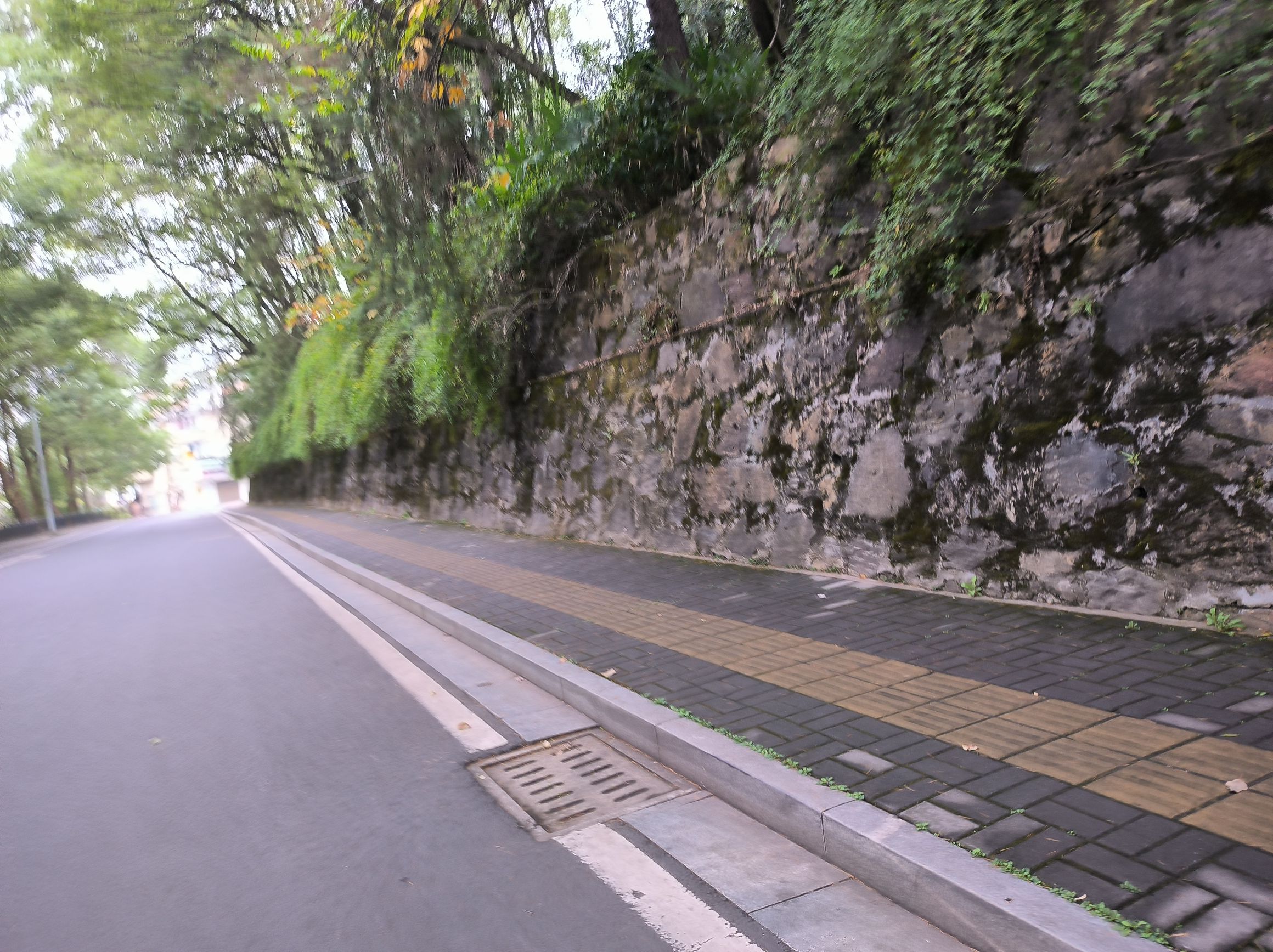 河洑国家森林公园旅行图片 3