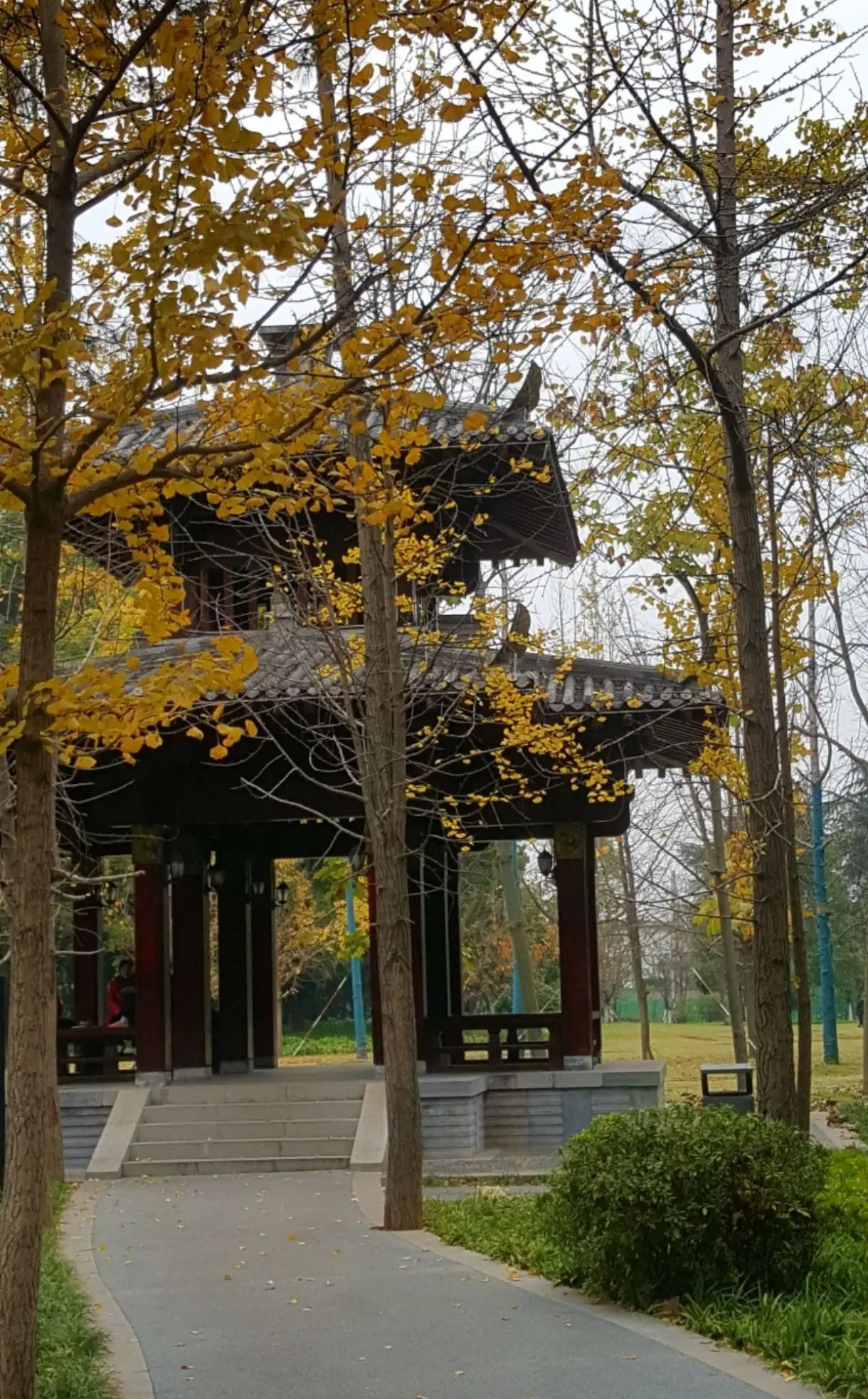 屈原公园旅行图片 1