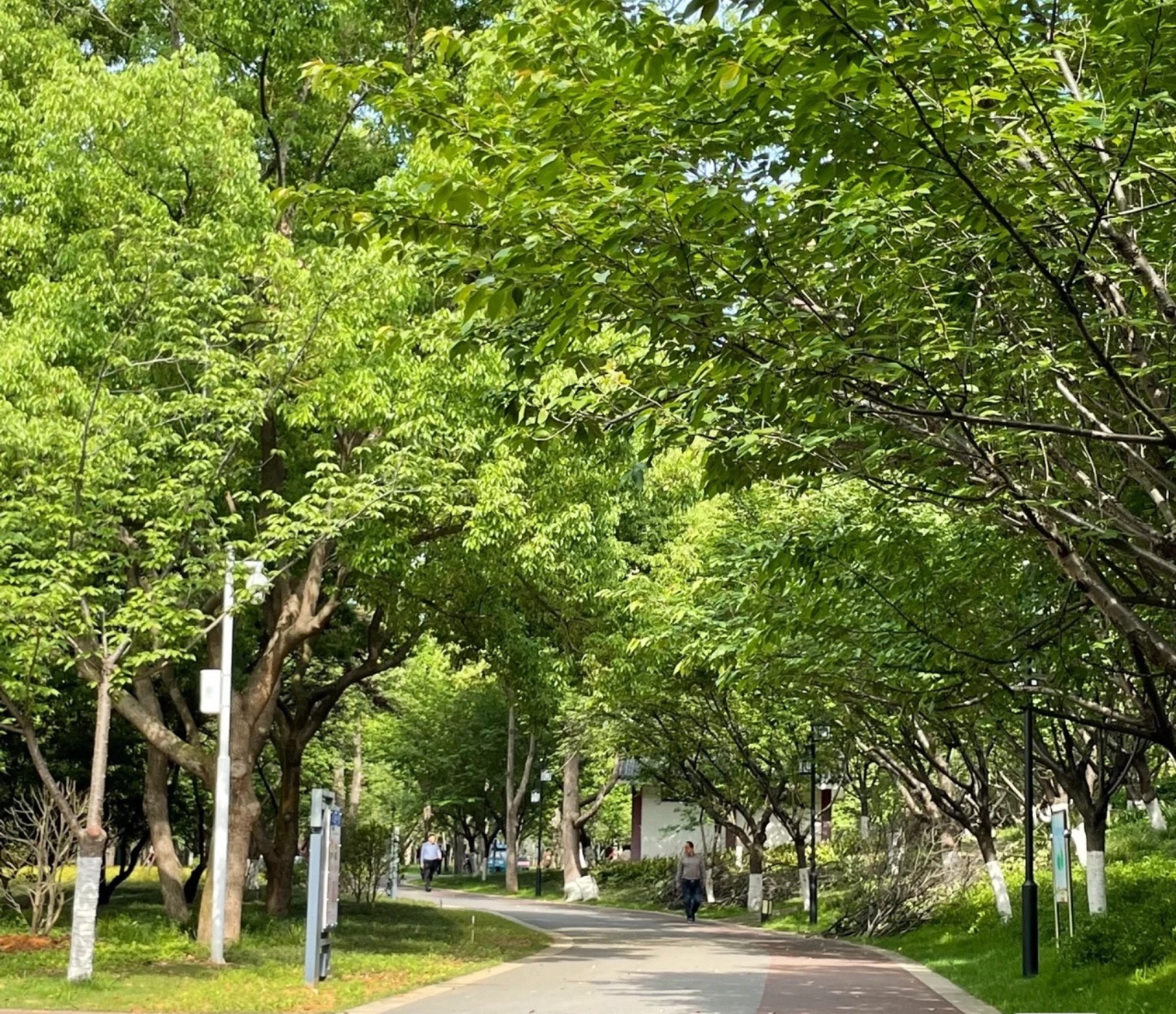 屈原公园旅行图片 2
