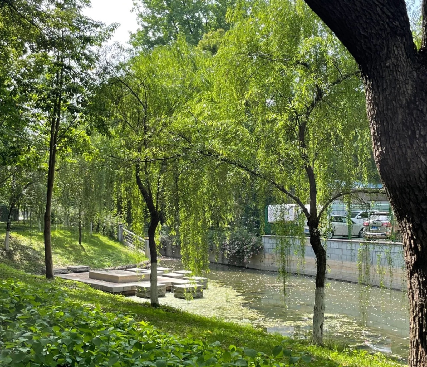 屈原公园旅行图片 3