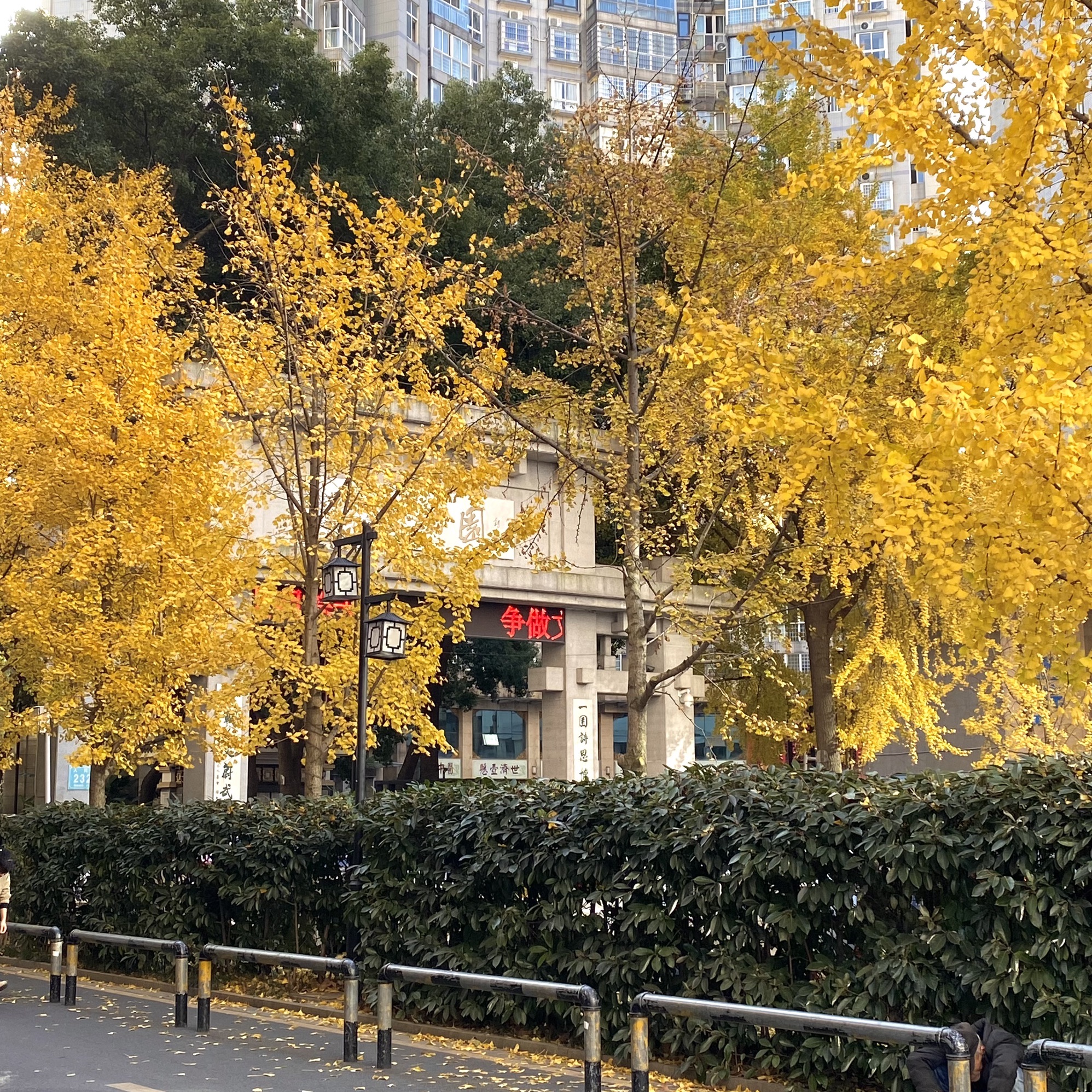 屈原公园旅行图片 1