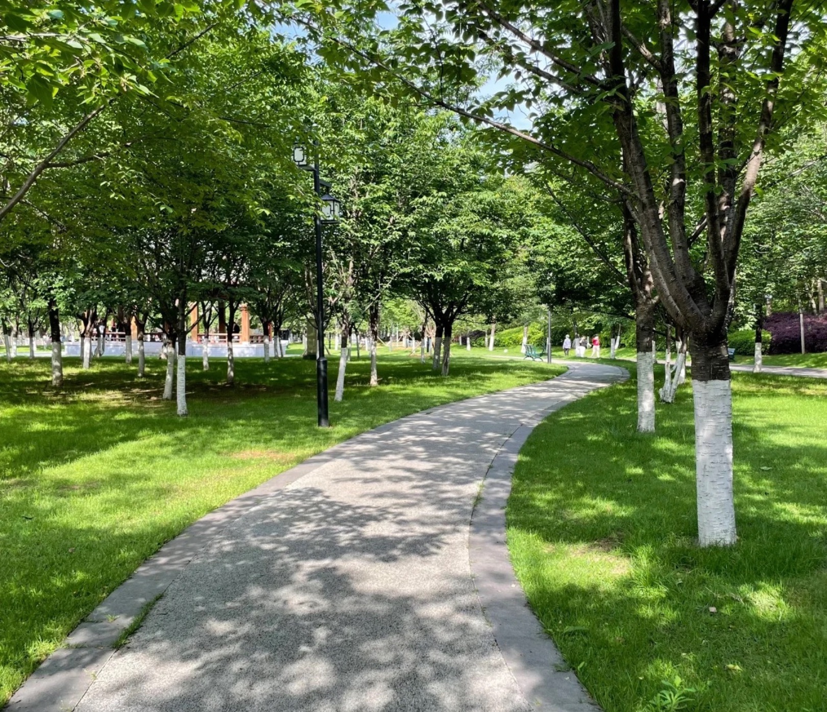 屈原公园旅行图片 1