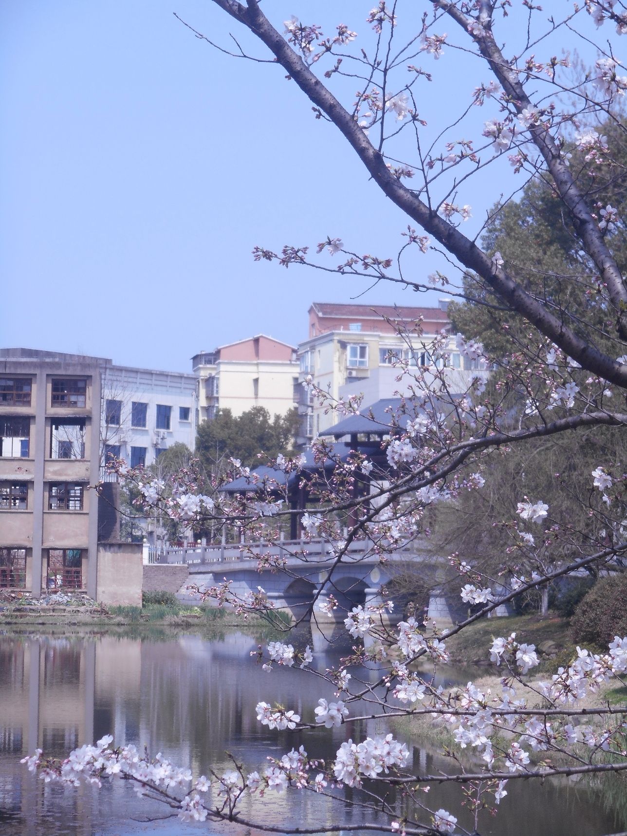 屈原公园旅行图片 1