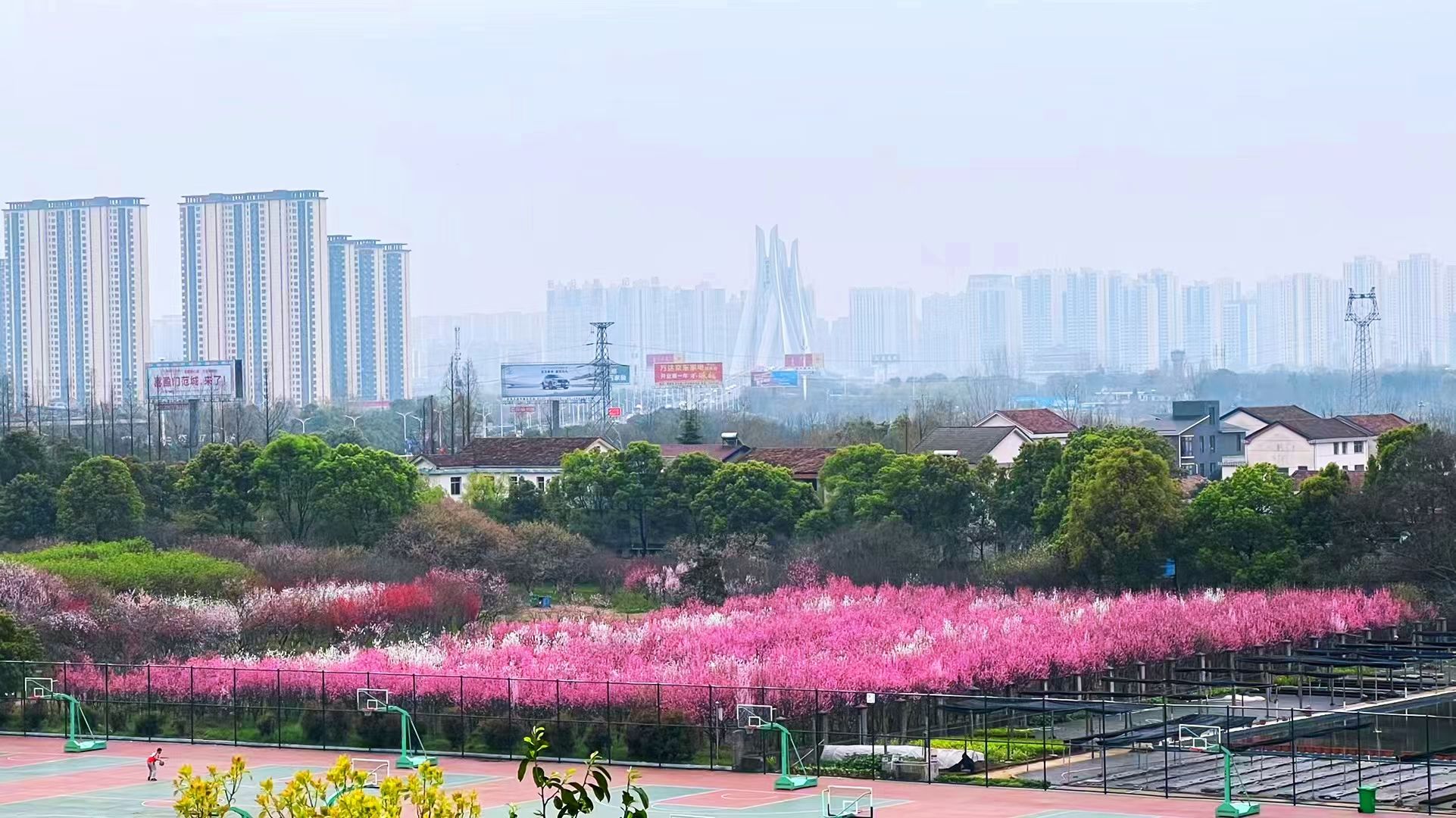 常德职业技术学院
