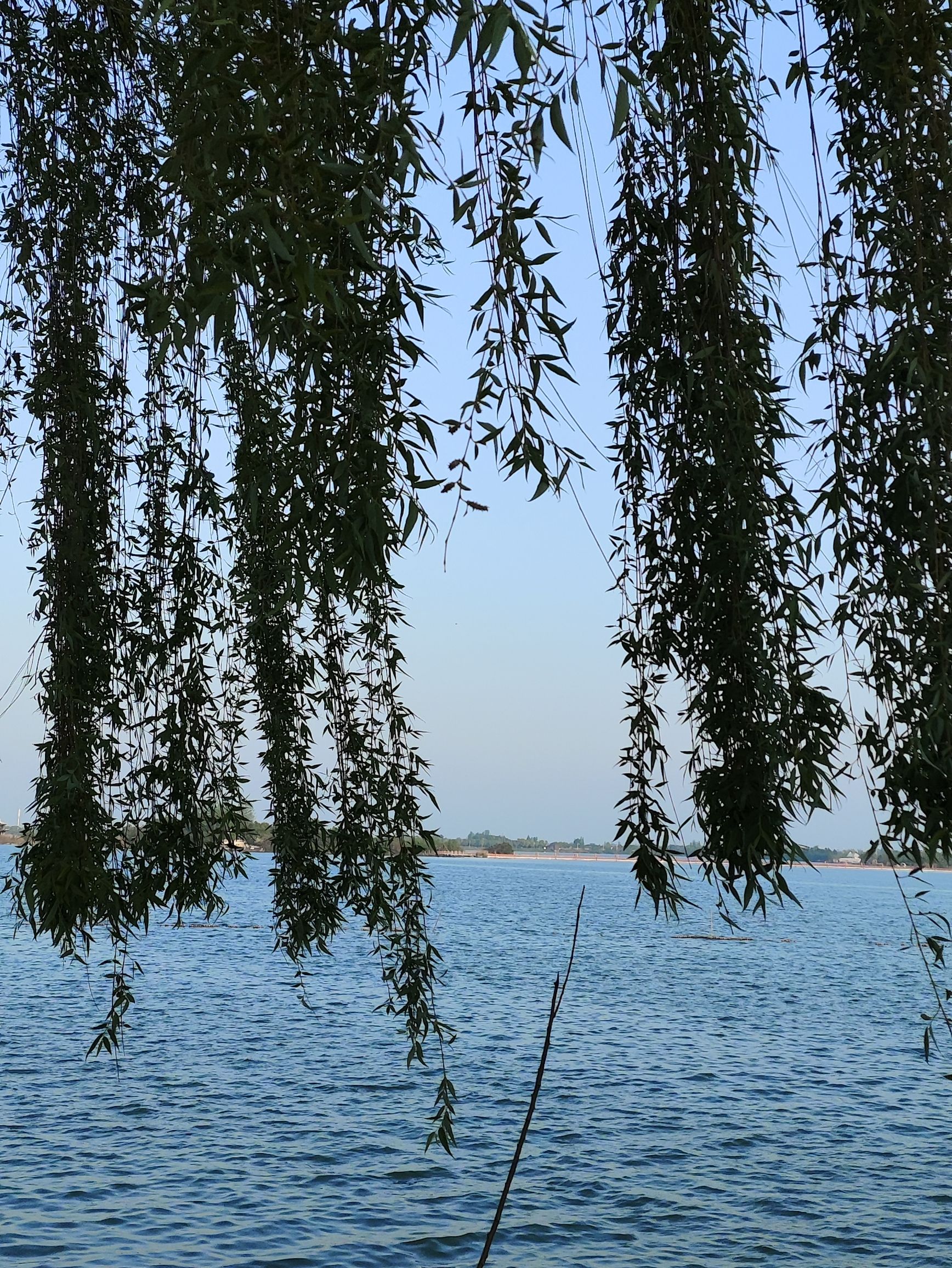 湖南常德柳叶湖旅游度假区旅行图片 1