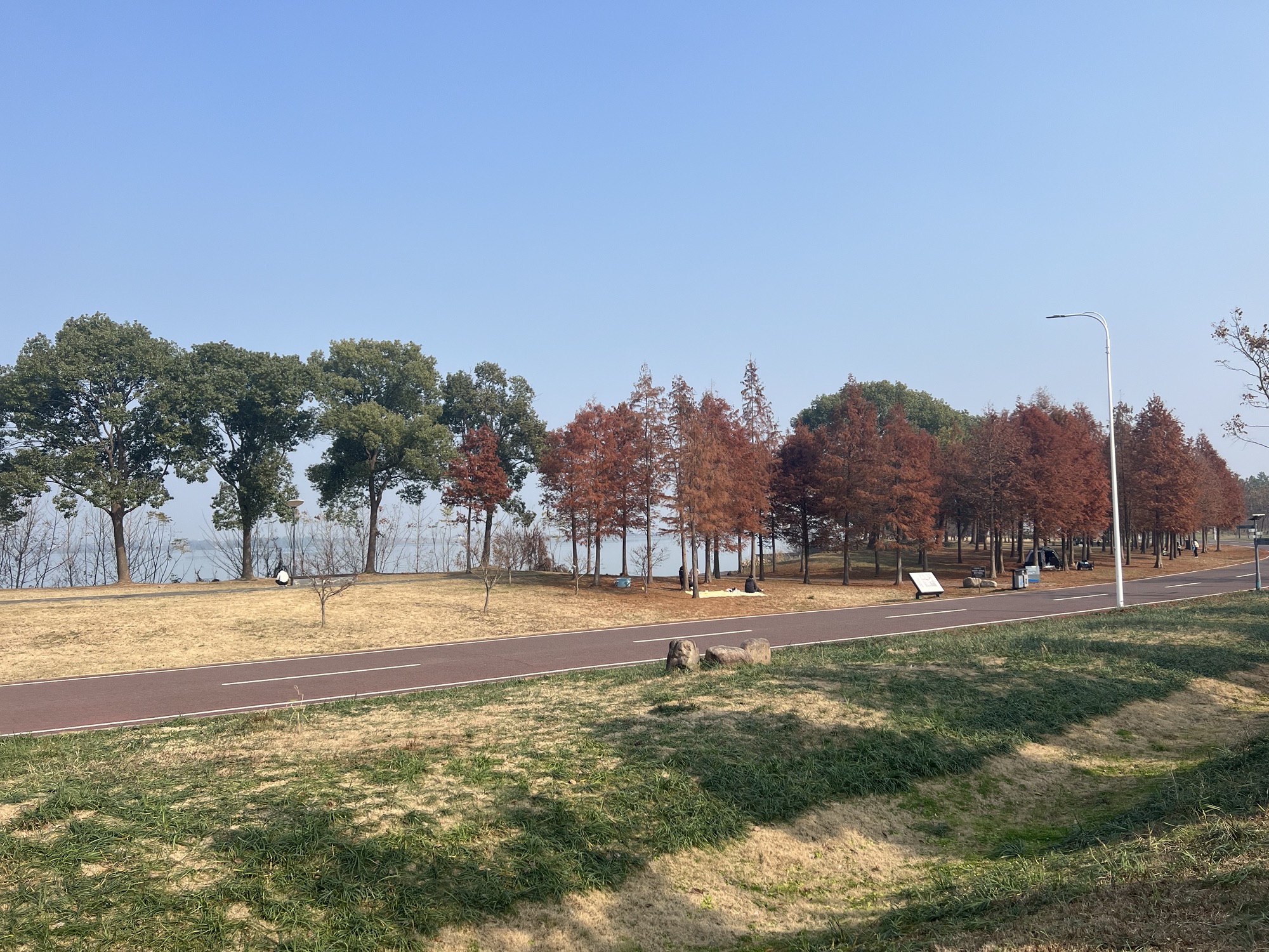 湖南常德柳叶湖旅游度假区旅行图片 3