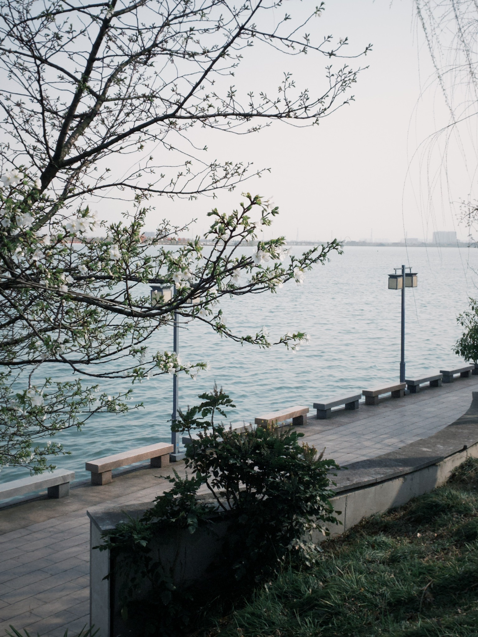 湖南常德柳叶湖旅游度假区旅行图片 1