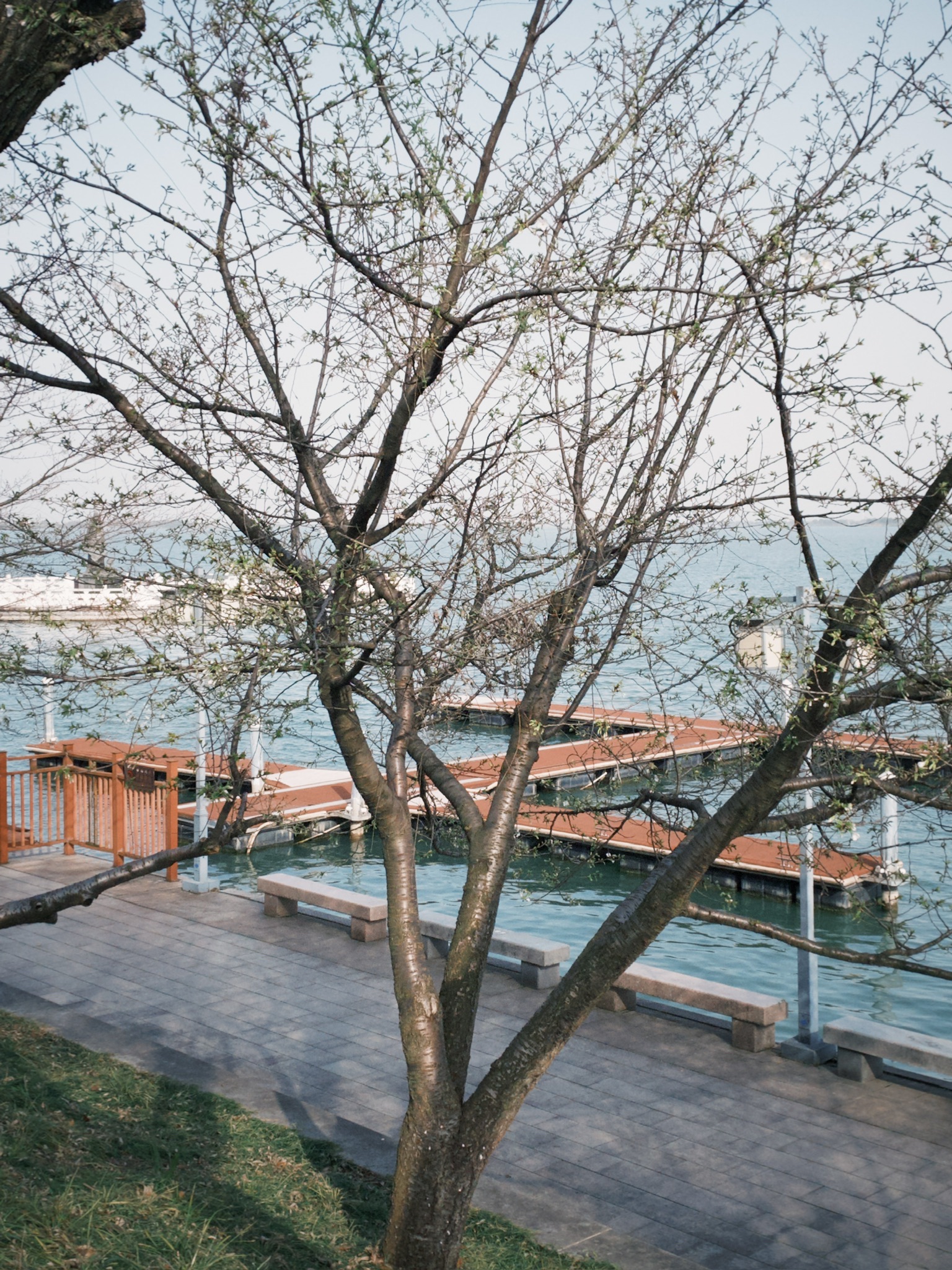湖南常德柳叶湖旅游度假区旅行图片 3