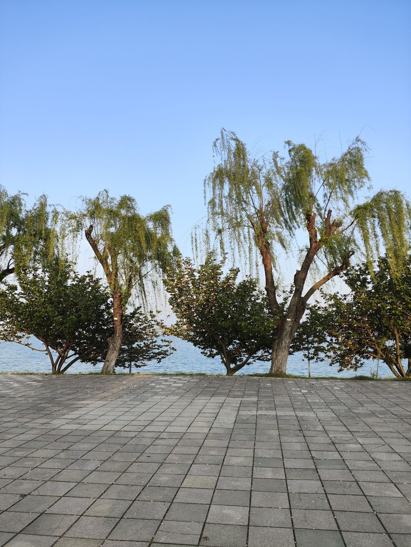 湖南常德柳叶湖旅游度假区旅行图片 2
