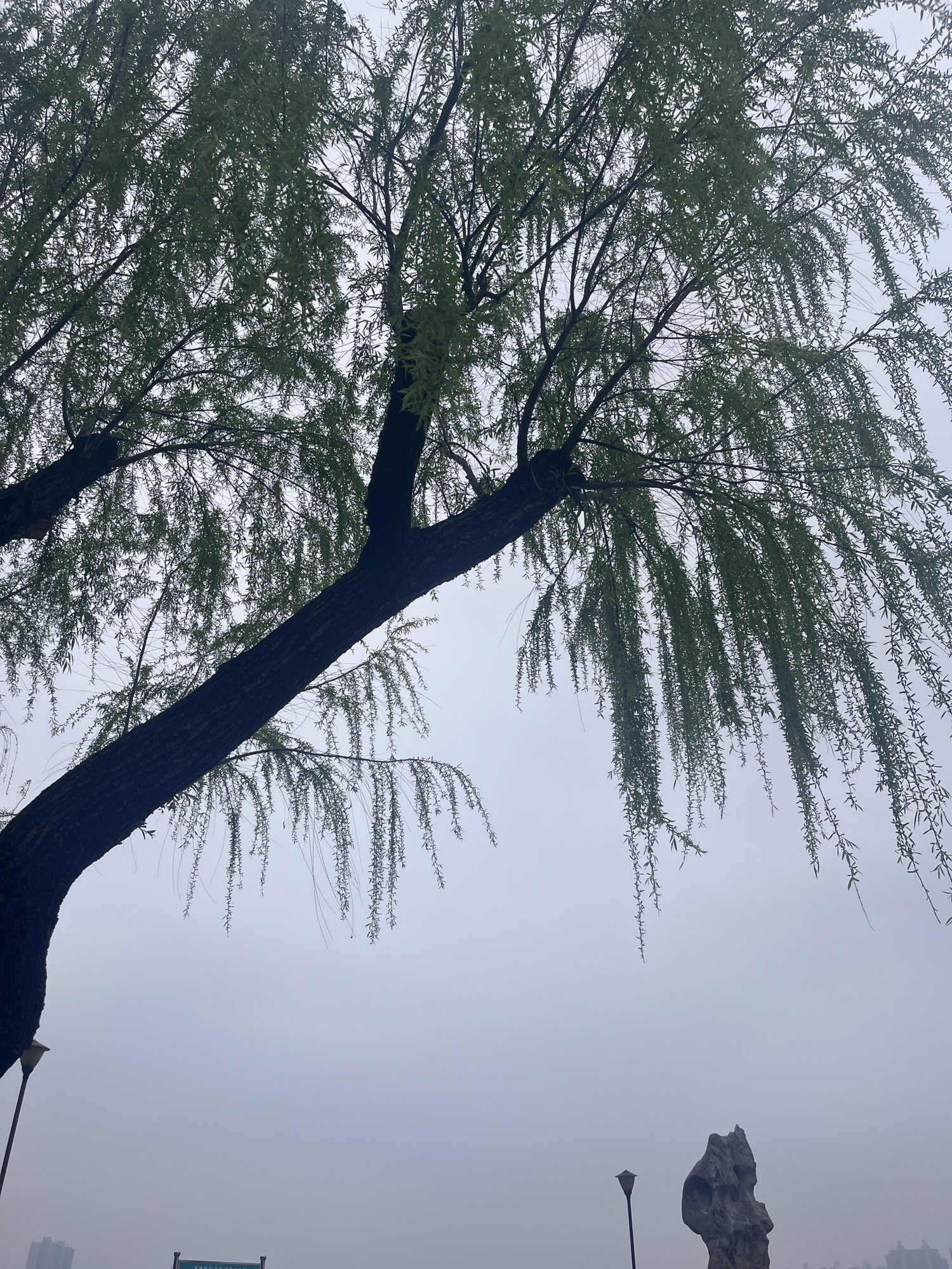 常德诗墙公园旅行图片 2