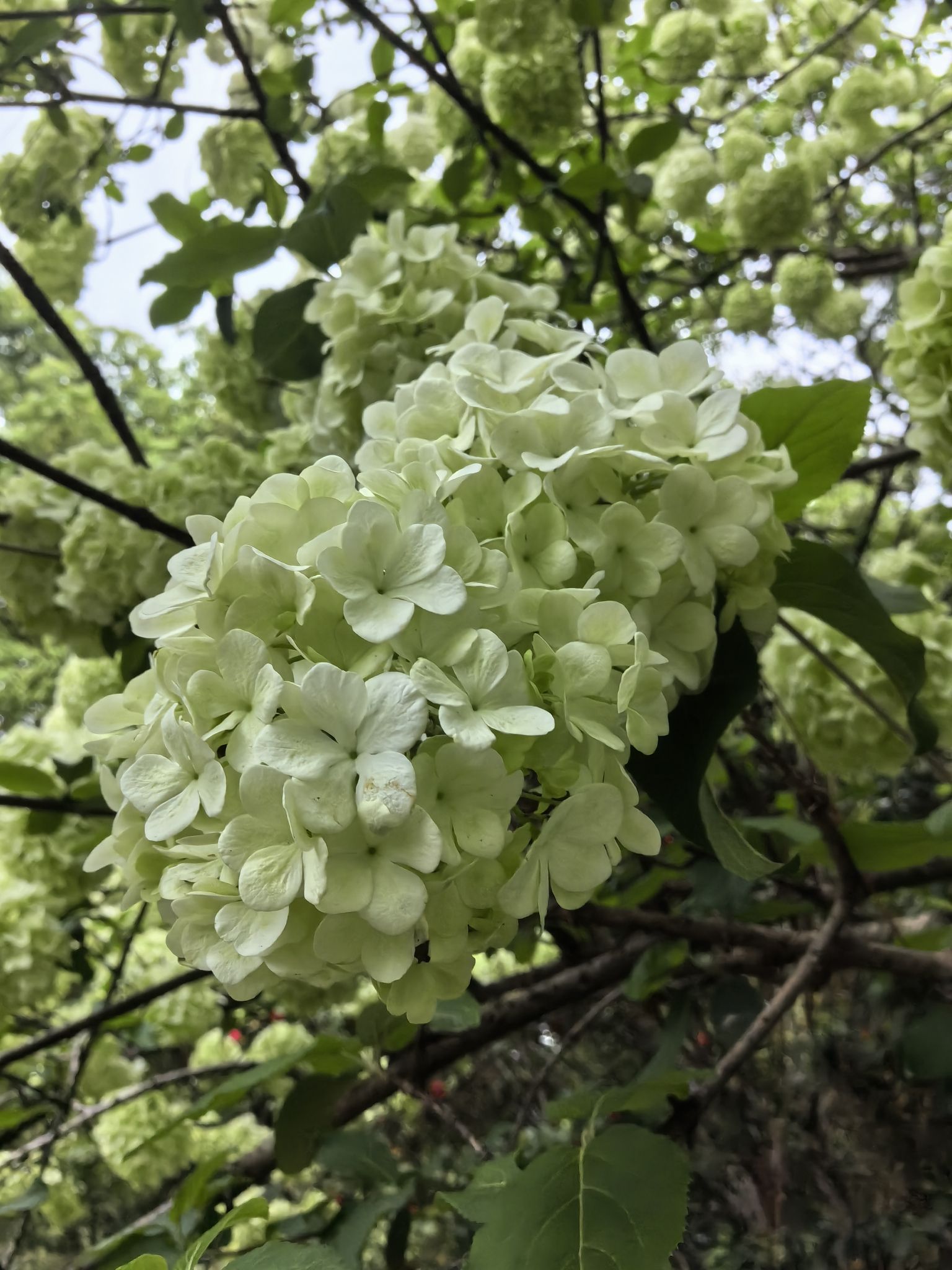 滨湖公园旅行图片 3