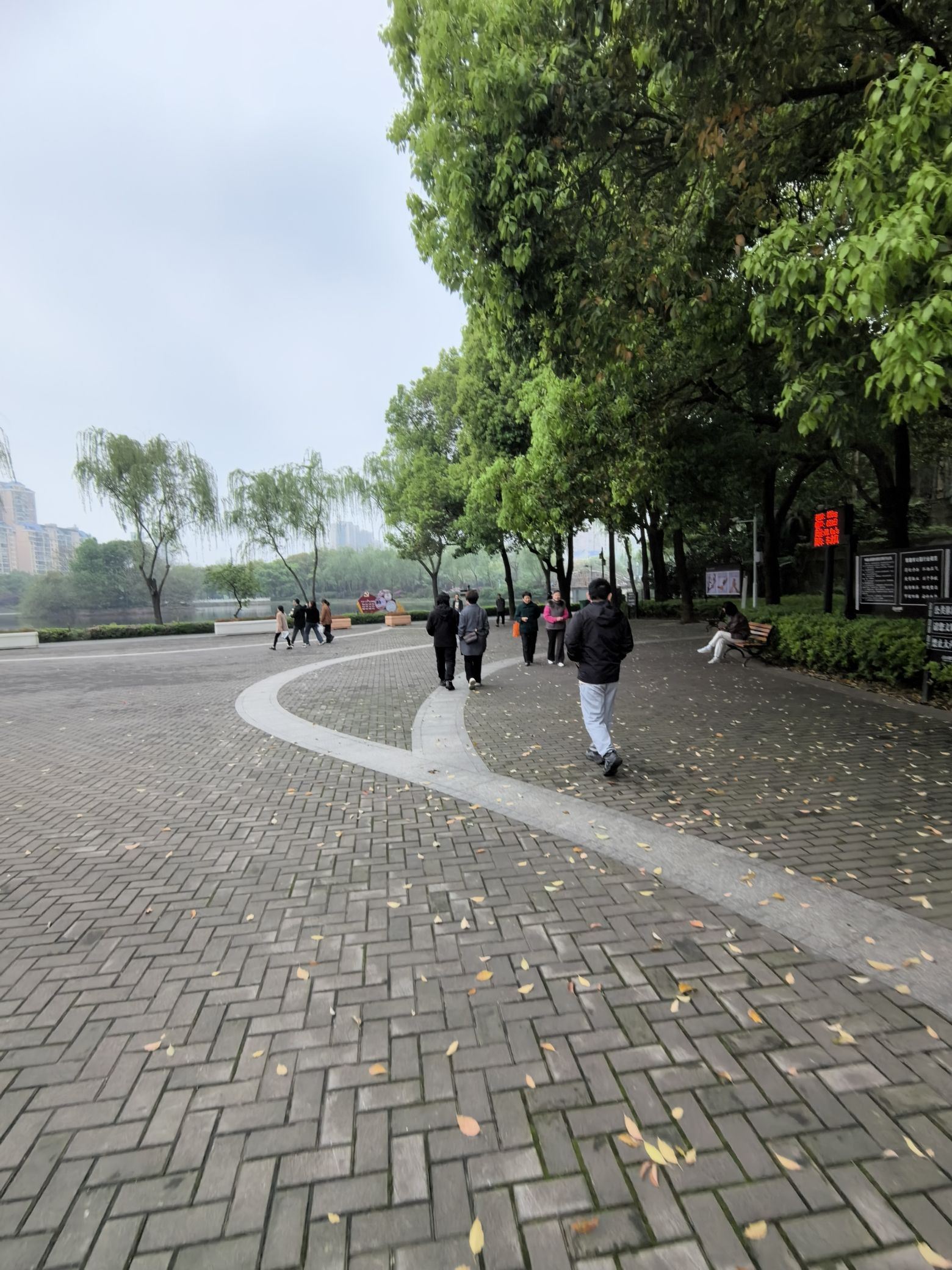 滨湖公园旅行图片 2