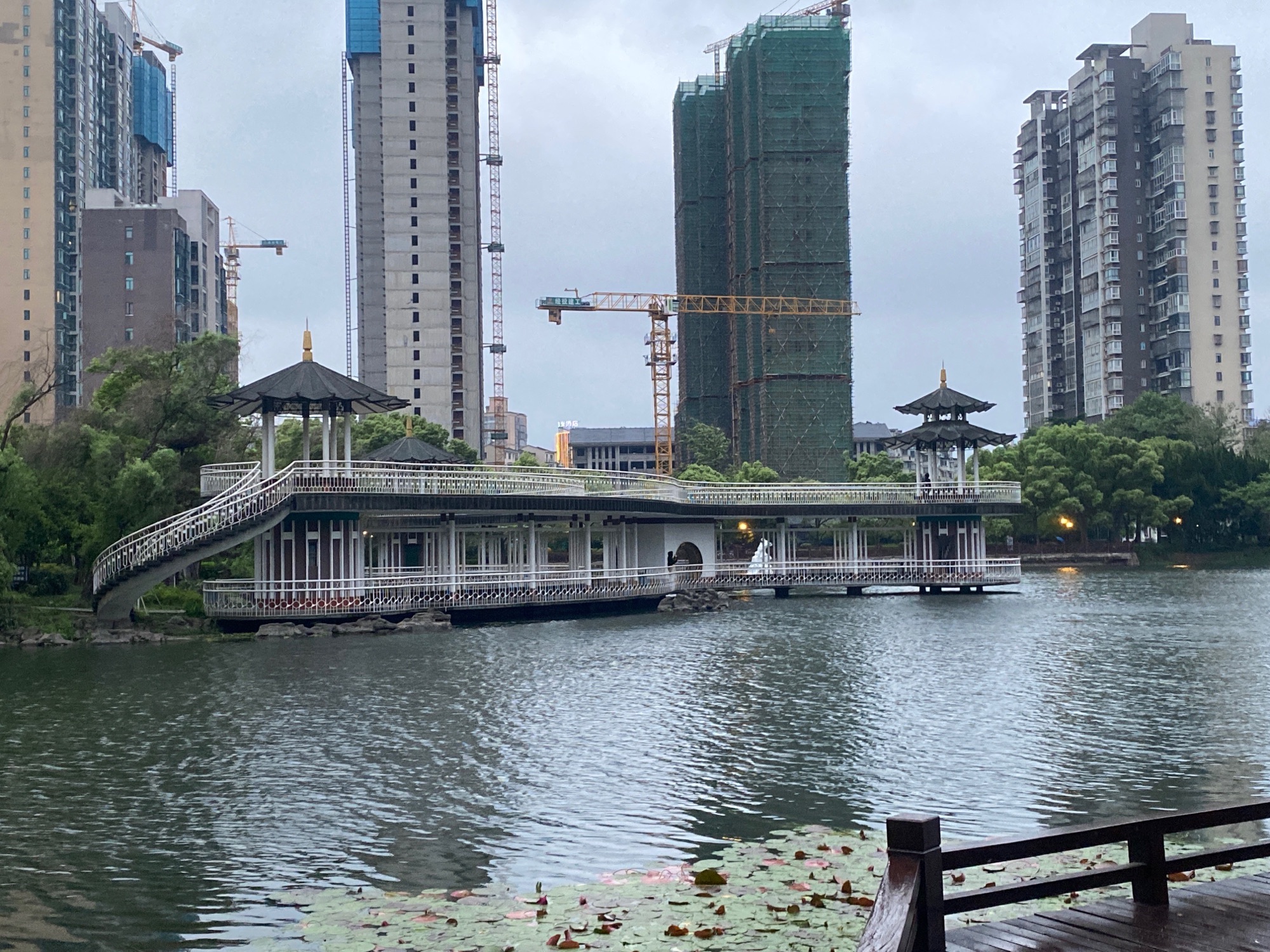 滨湖公园旅行图片 1