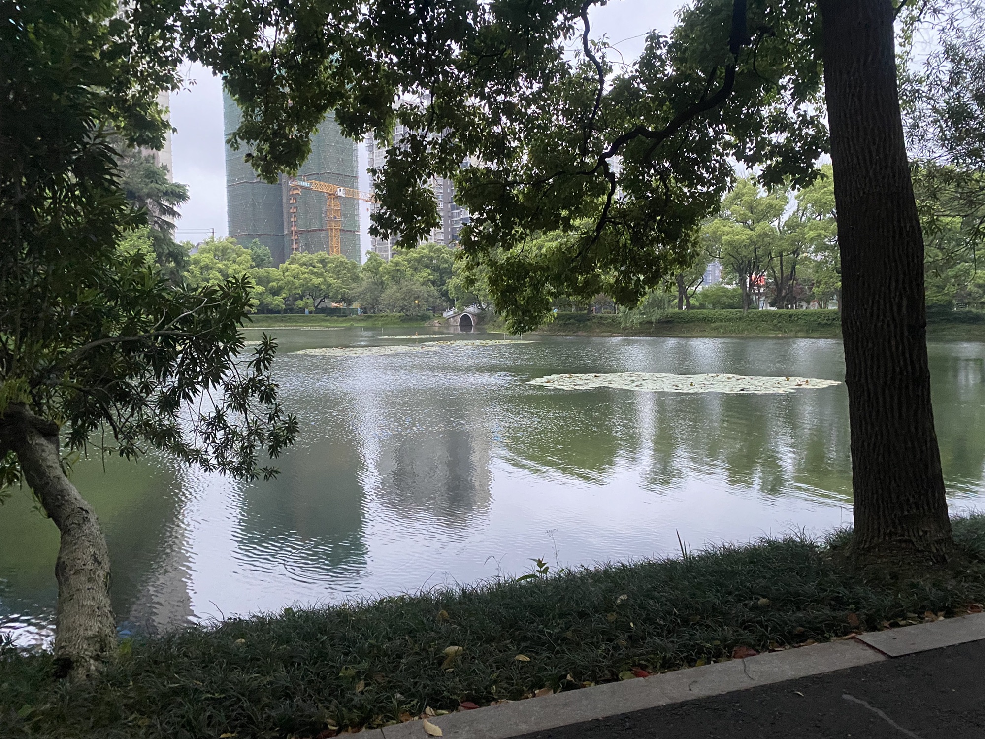 滨湖公园旅行图片 2