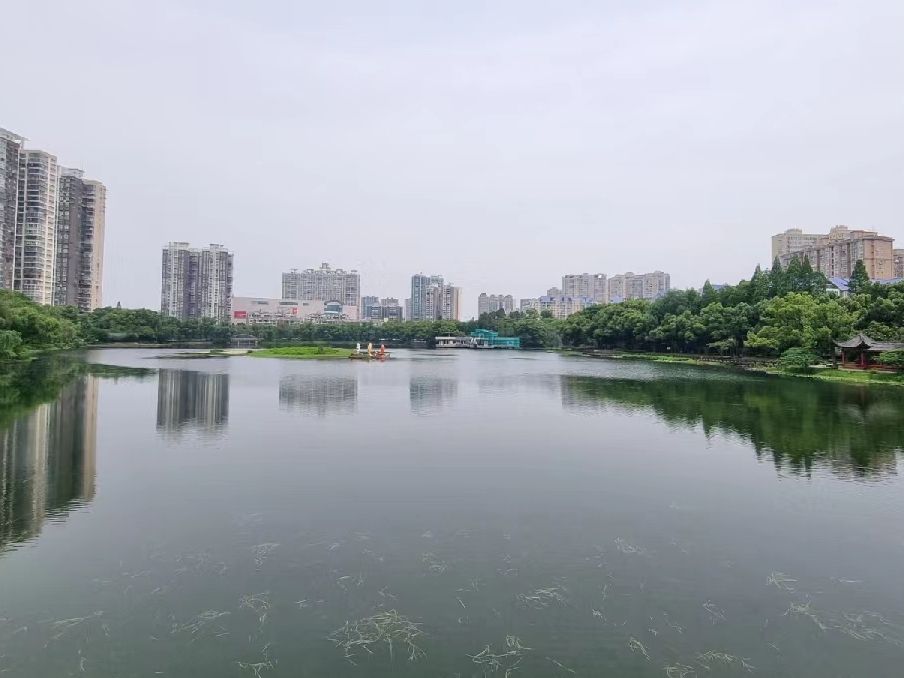 滨湖公园旅行图片 1