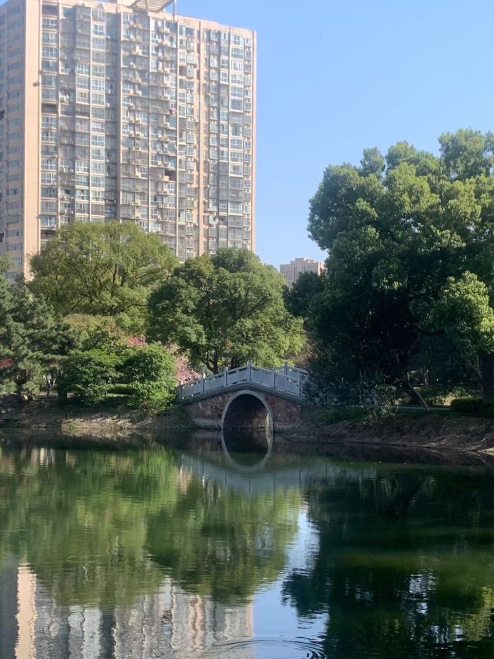 滨湖公园旅行图片 2
