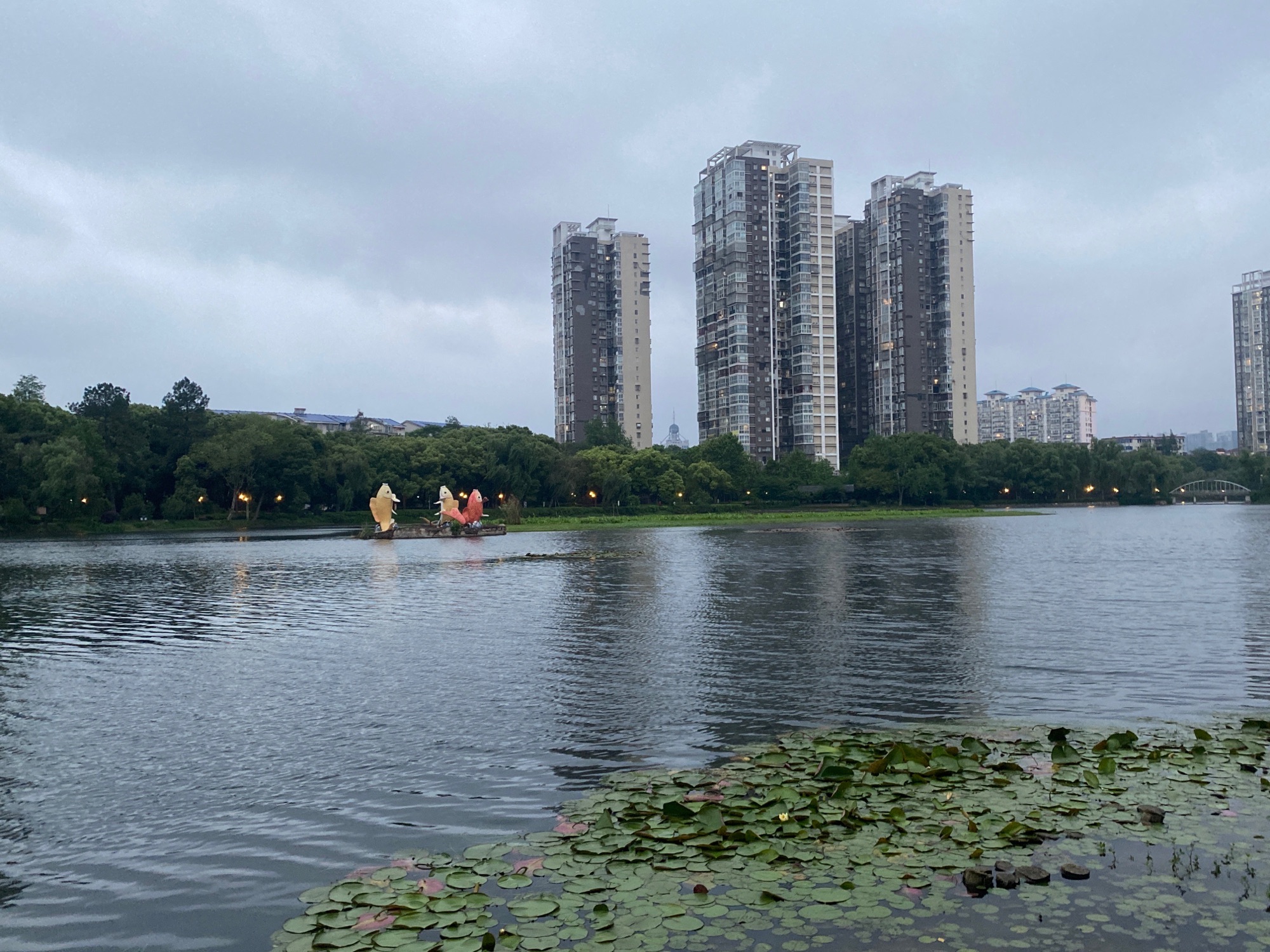 滨湖公园旅行图片 3