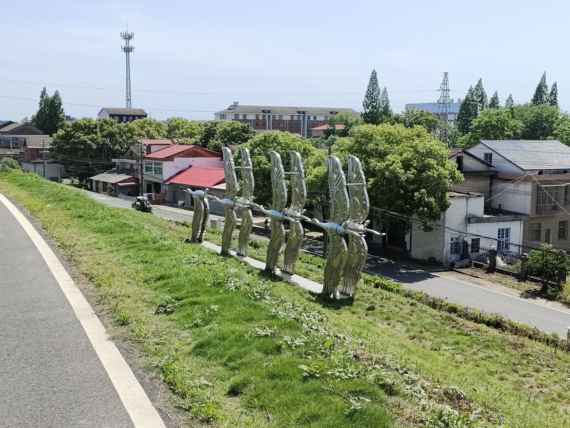西洞庭湖湿地生态旅游风景区旅行图片 2
