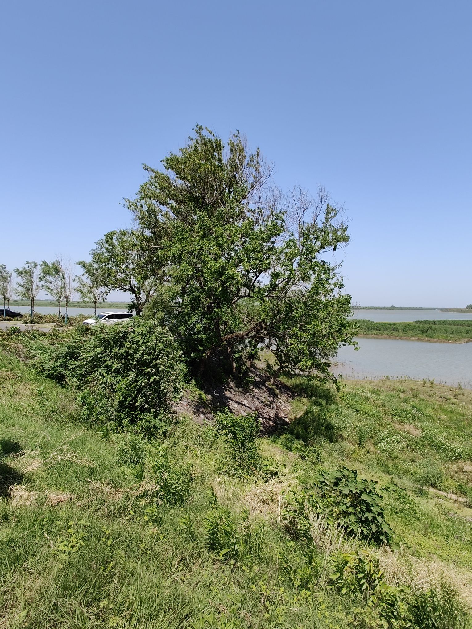 西洞庭湖湿地生态旅游风景区旅行图片 3
