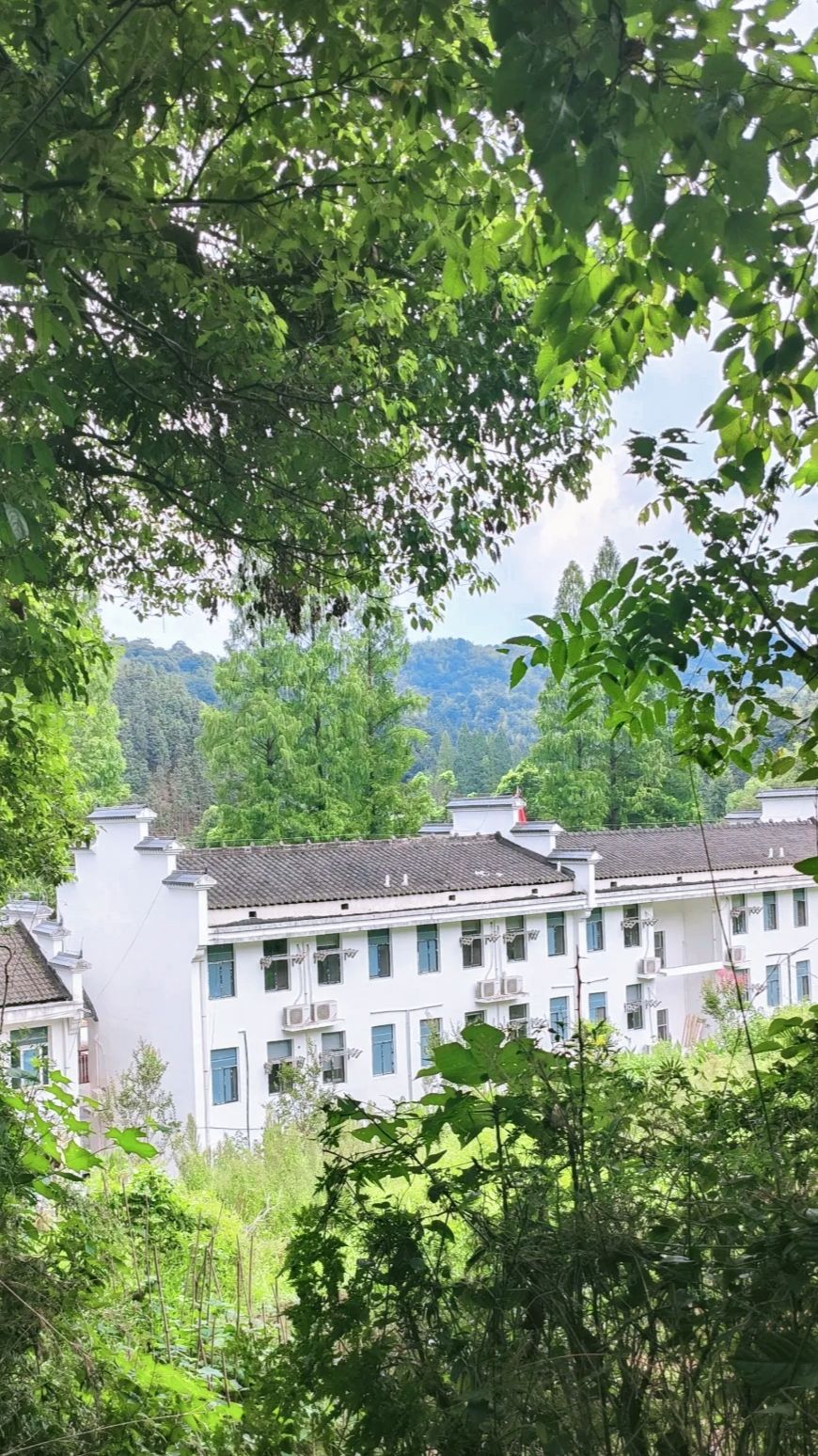 花岩溪国家森林公园旅行图片 3