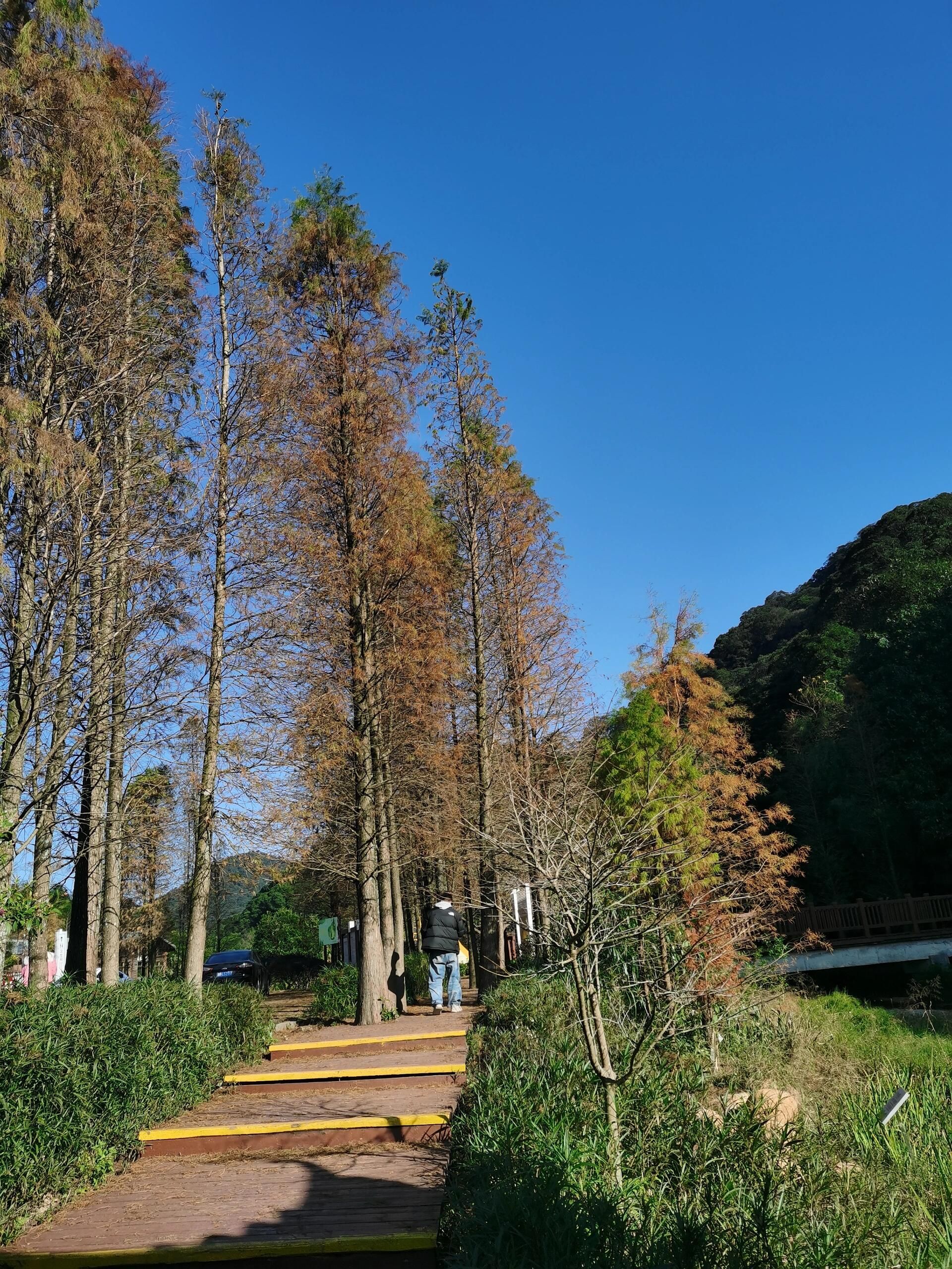 常德夹山国家森林公园旅行图片 2
