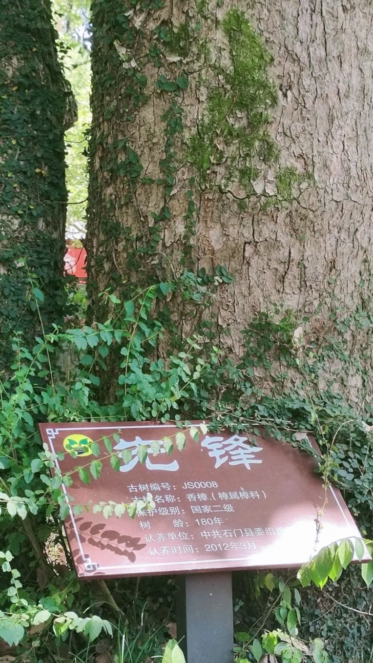常德夹山国家森林公园旅行图片 3