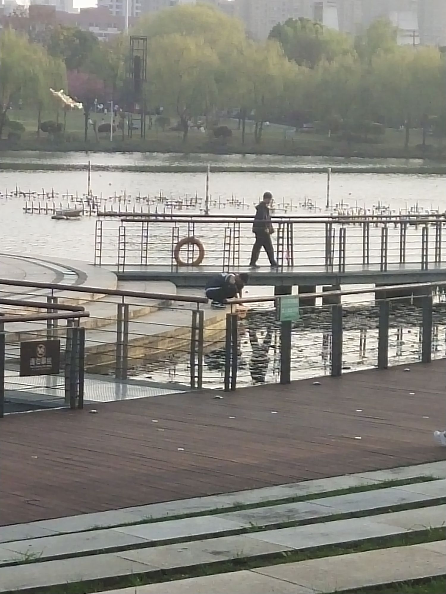 白马湖文化公园旅行图片 2