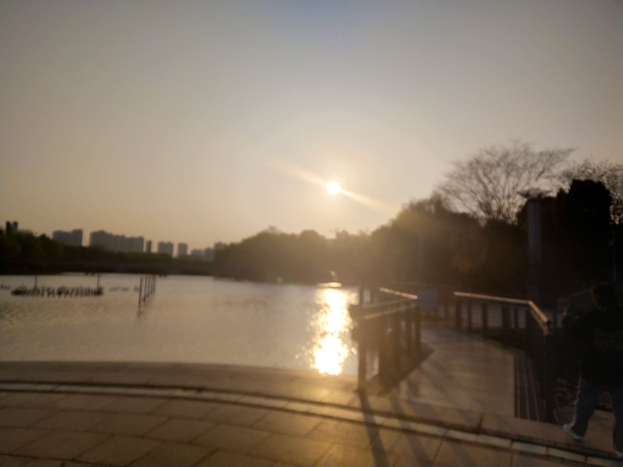 白马湖文化公园旅行图片 2