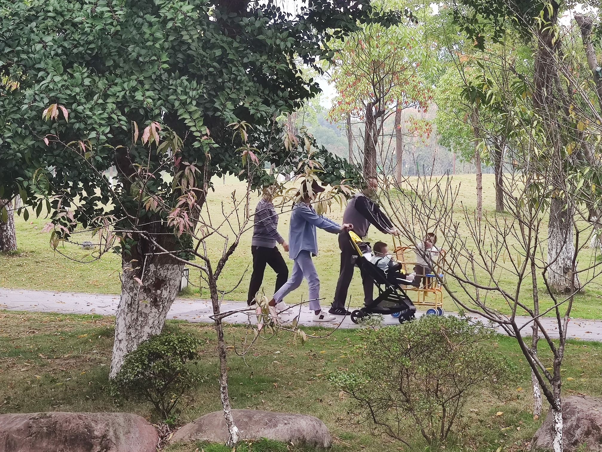 白马湖文化公园旅行图片 2