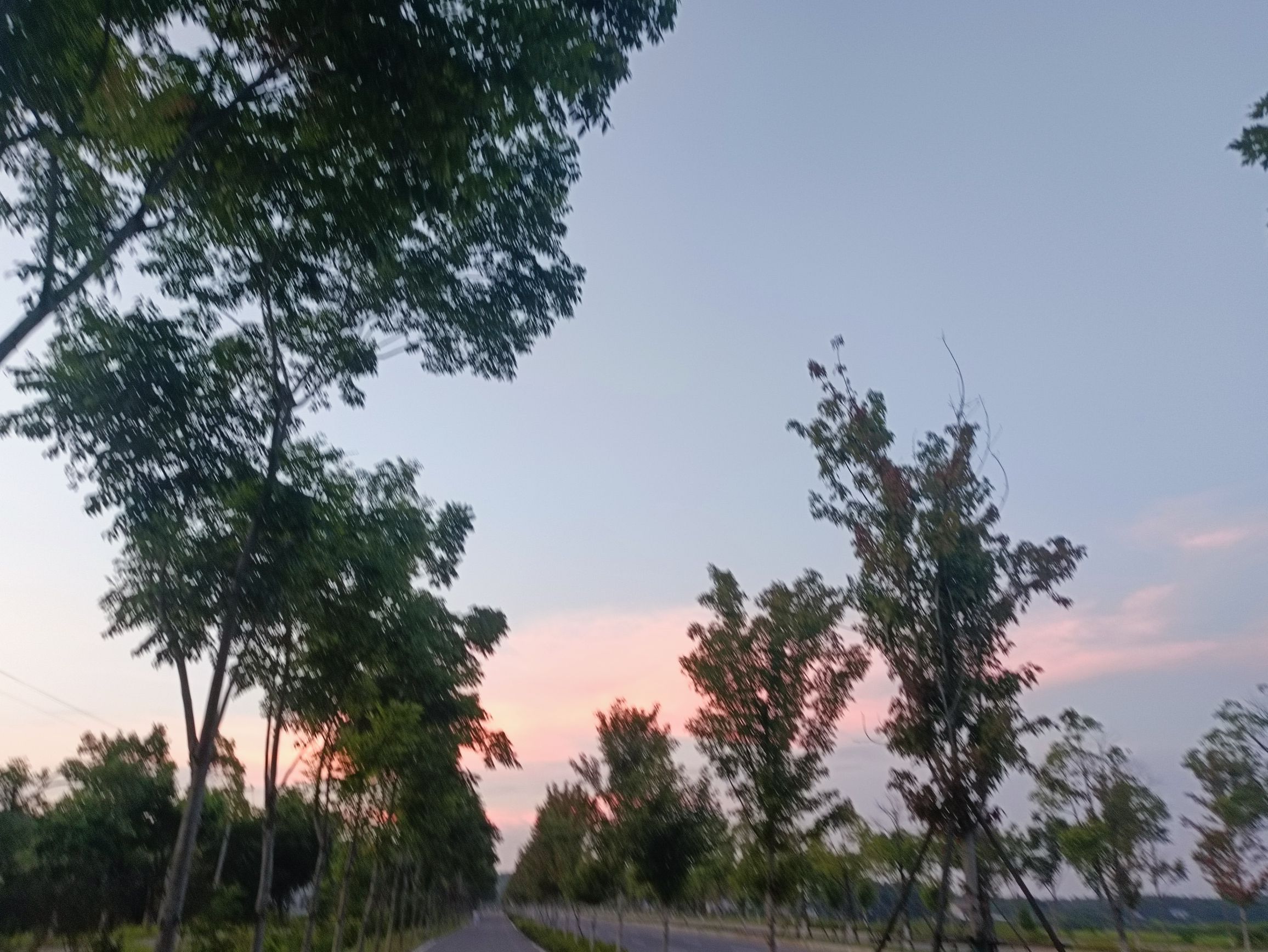 益阳鱼形湖-四方山旅游景区旅行图片 1