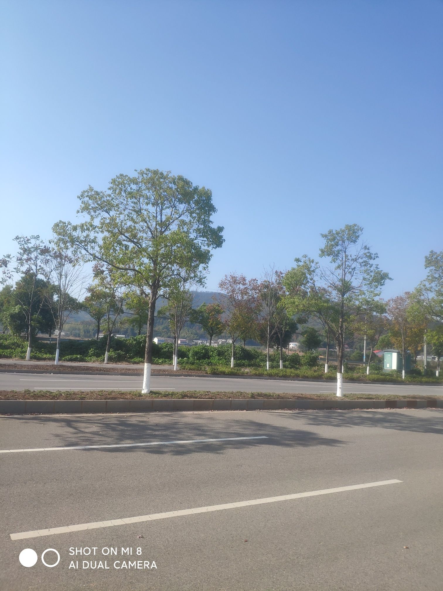 益阳鱼形湖-四方山旅游景区旅行图片 1