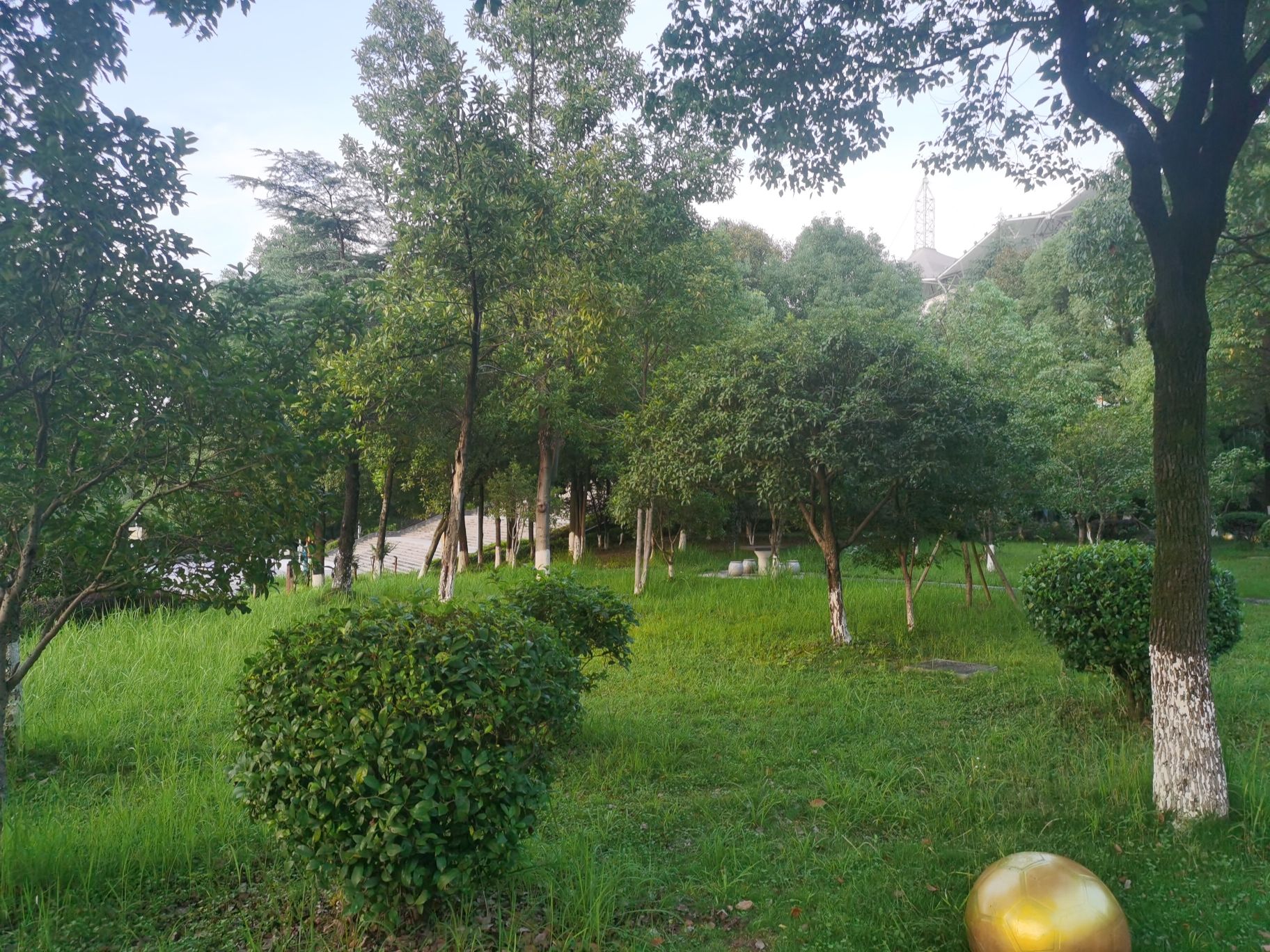 益阳奥林匹克公园旅行图片 2
