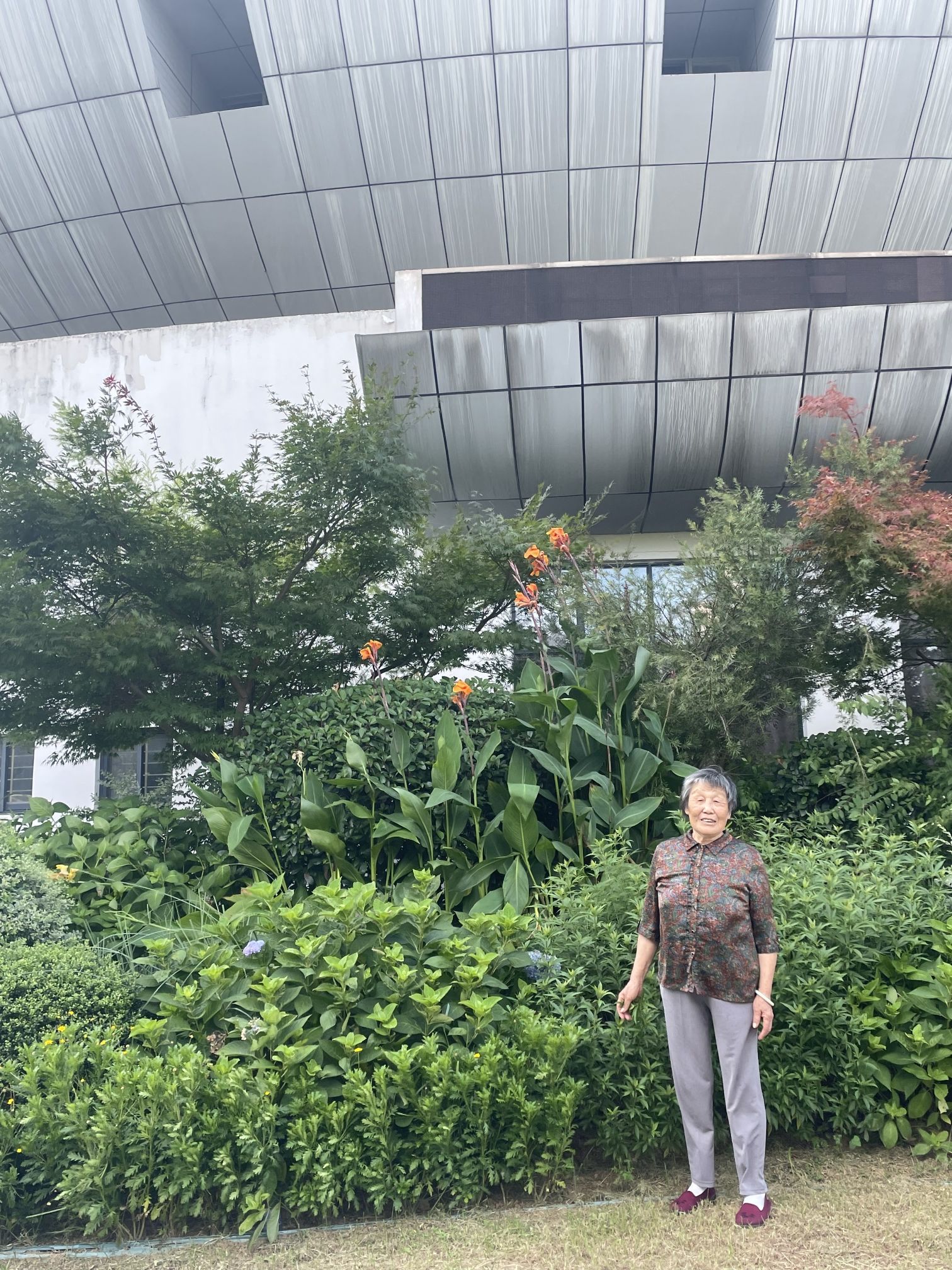 益阳奥林匹克公园旅行图片 3
