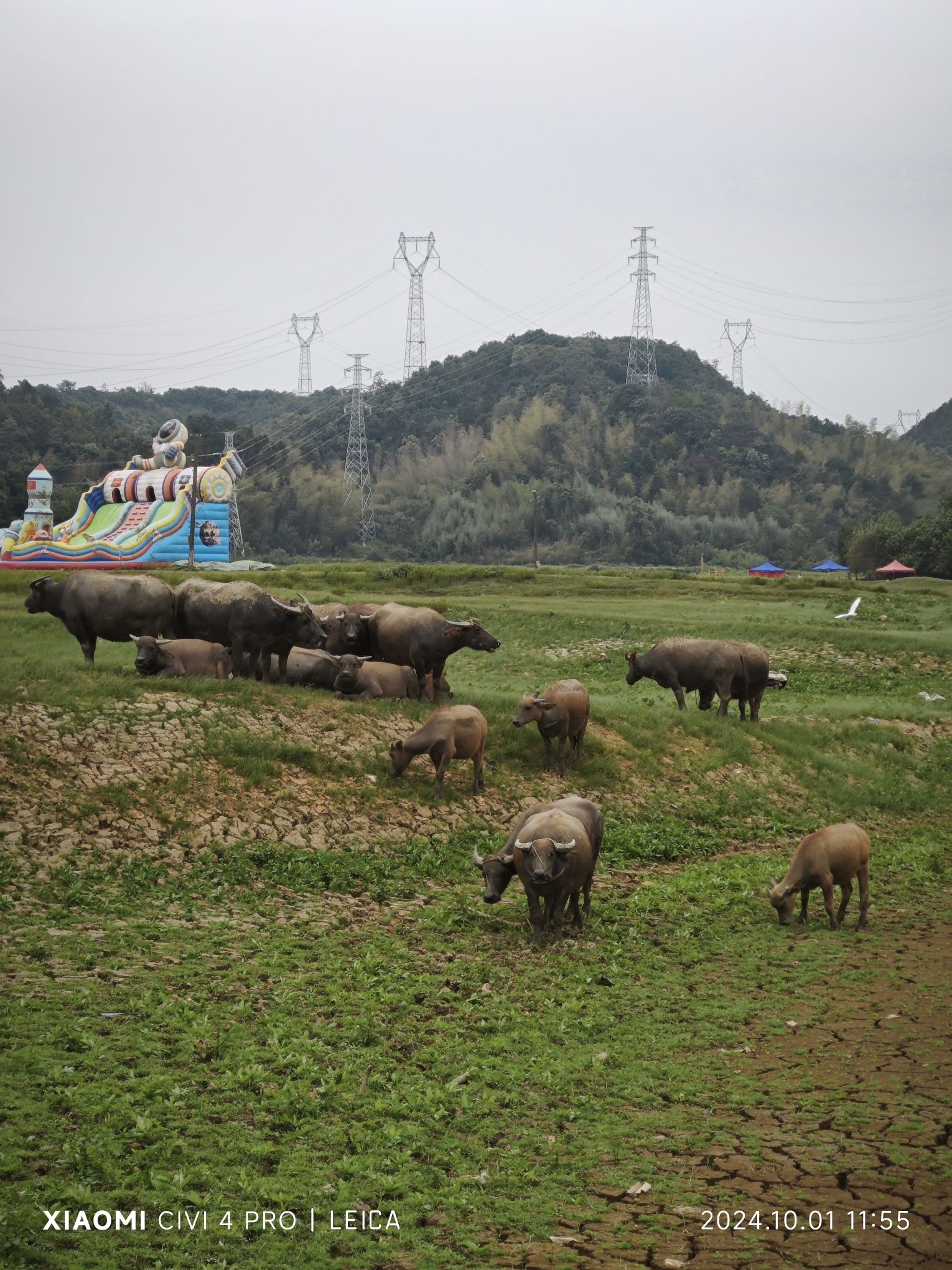 胭脂湖旅行图片 2