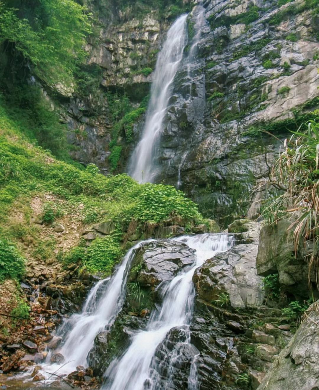 桃花江国家森林公园旅行图片 1