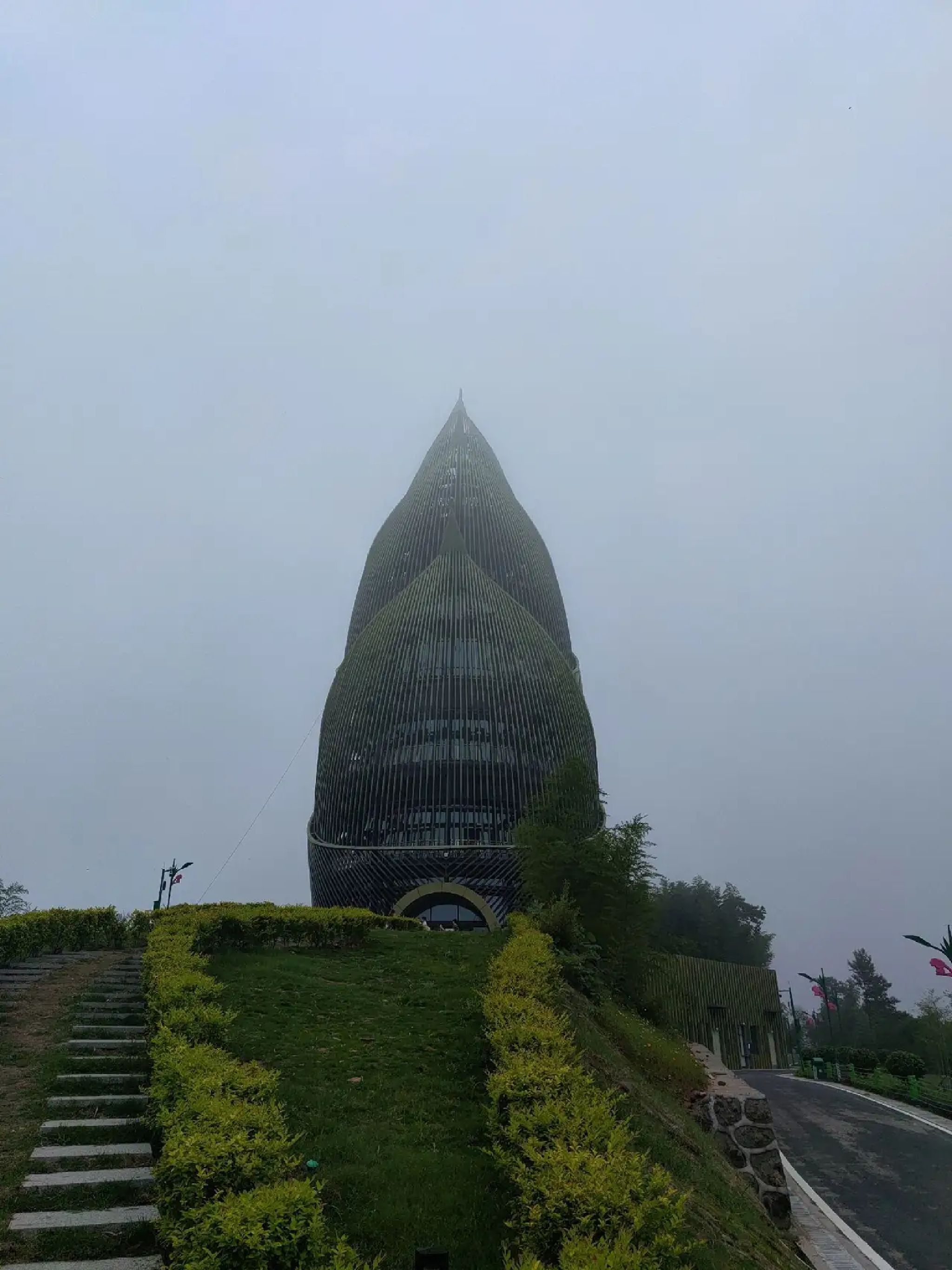 桃花江国家森林公园旅行图片 1