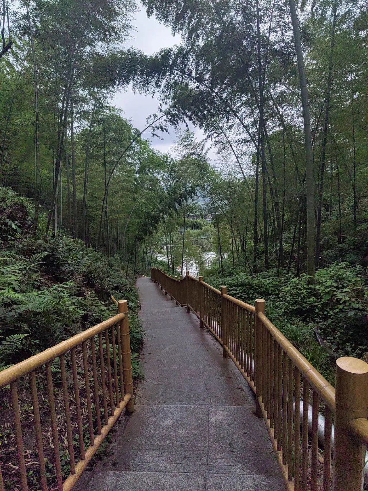 桃花江国家森林公园旅行图片 2