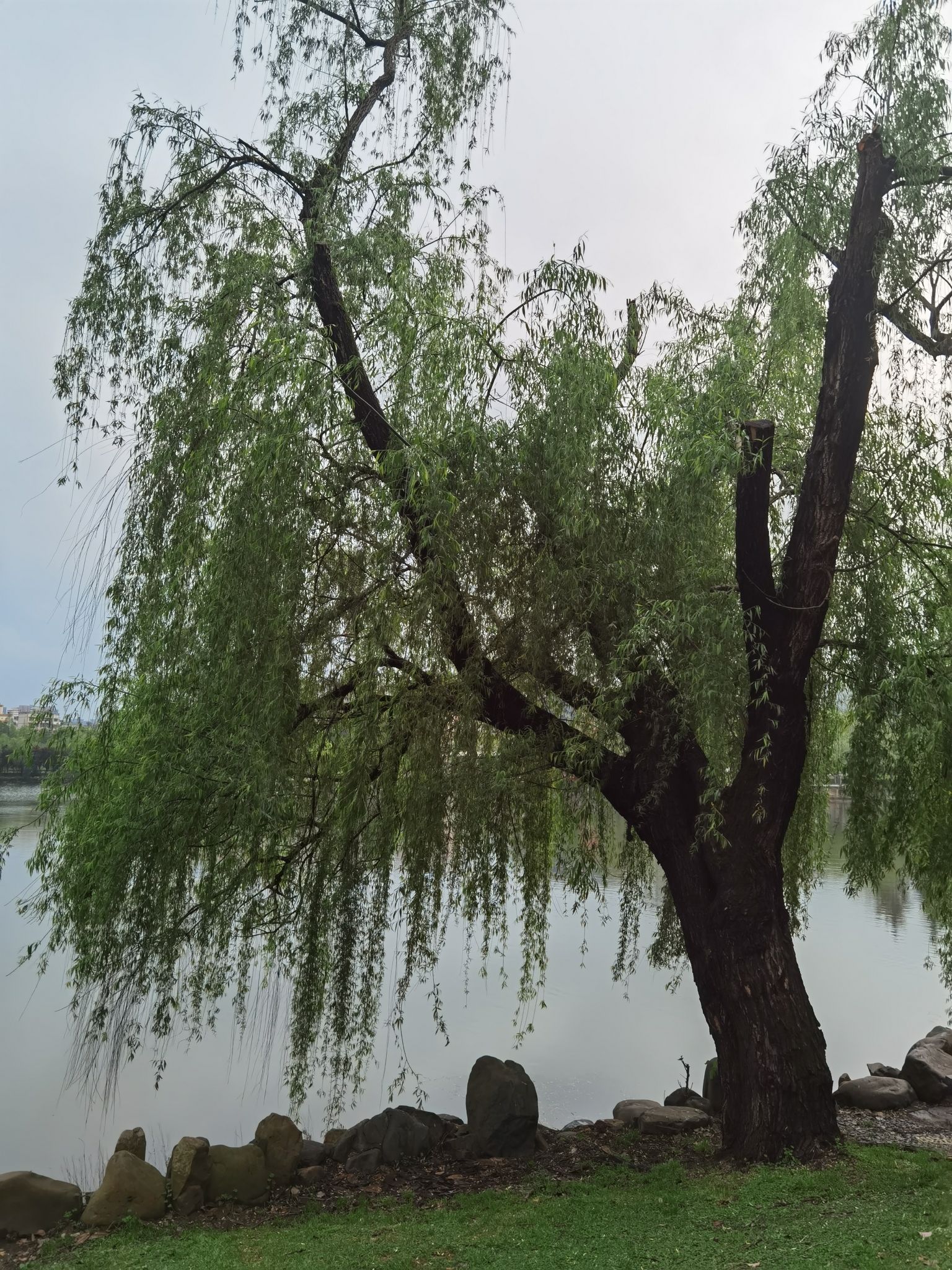 秀峰公园旅行图片 1