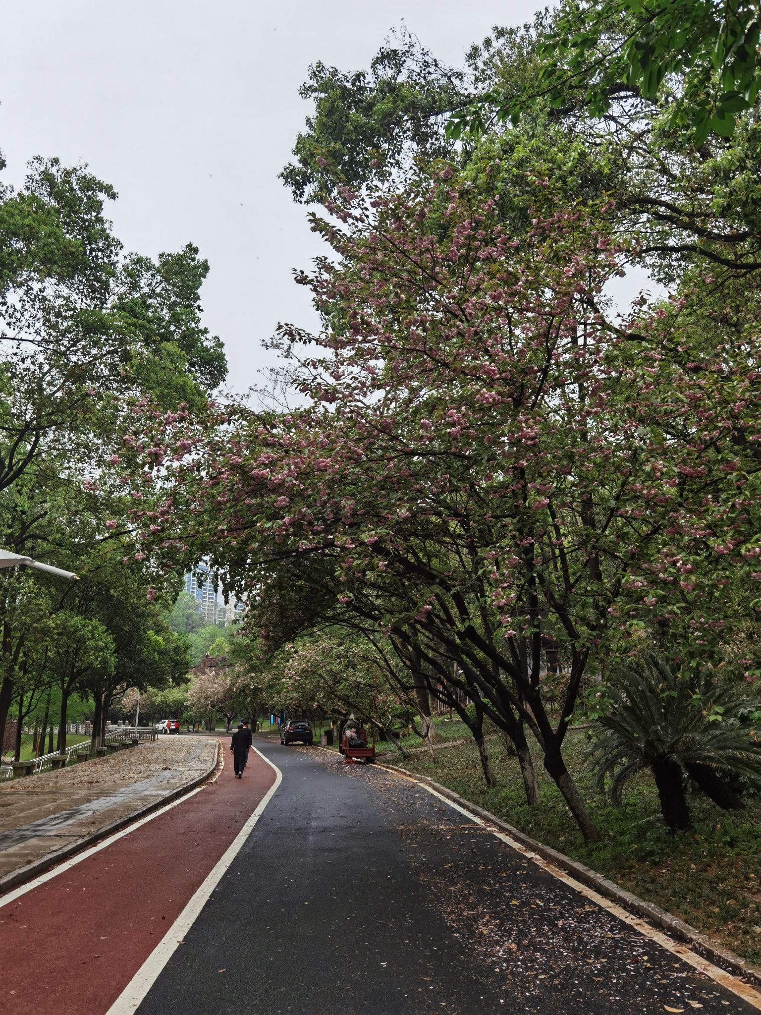 秀峰公园旅行图片 3